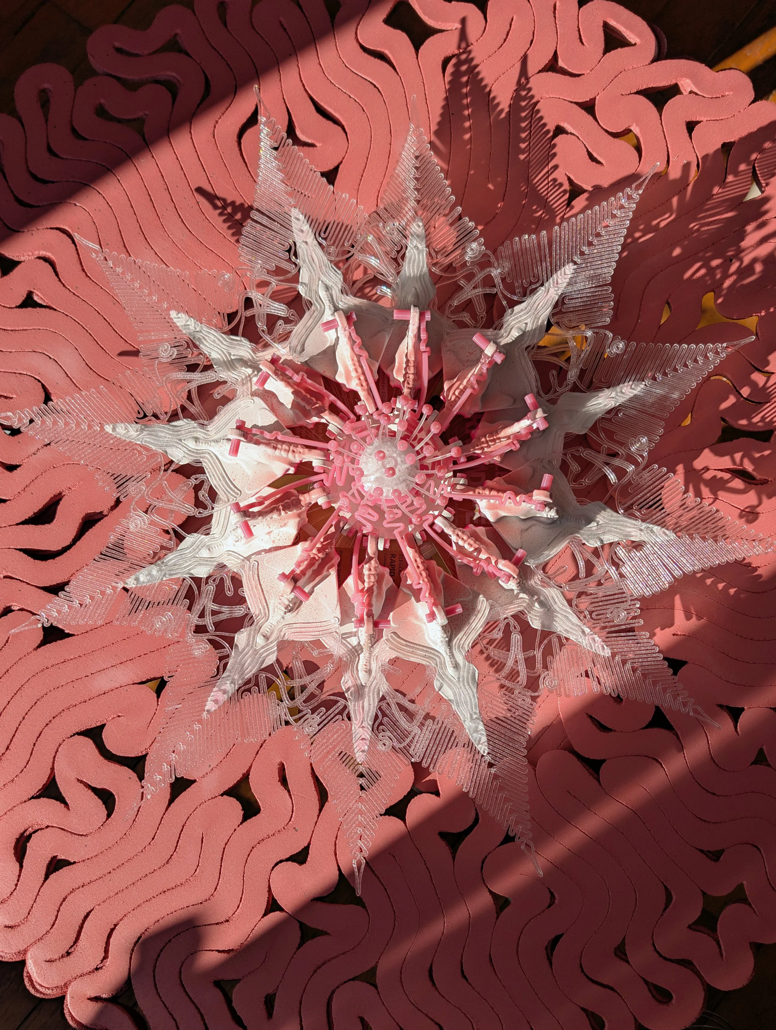 MaximeChampeau_Phylochimère_2024_multimaterial_NFS.jpg