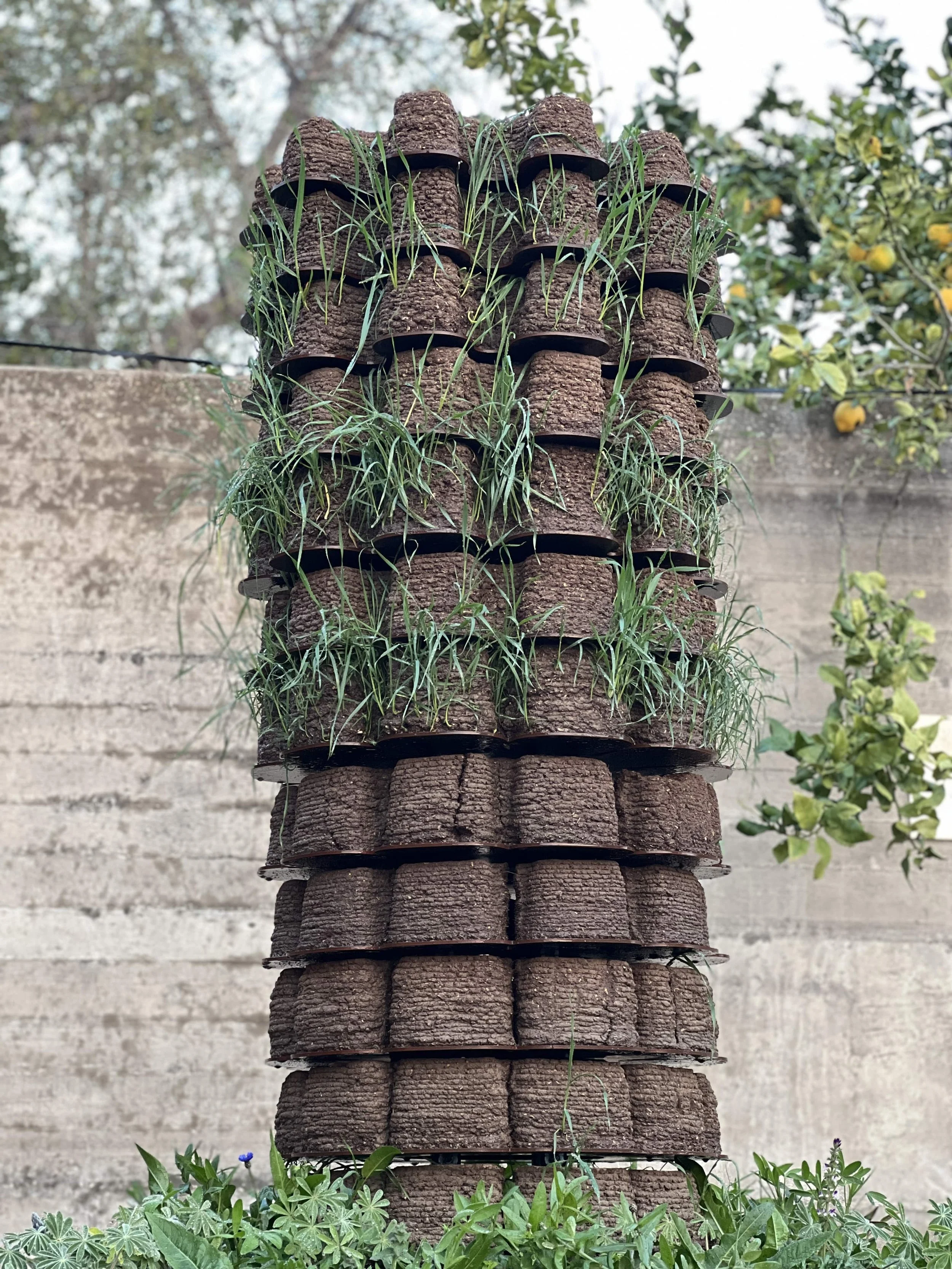 NATHANSOHN_ToGrowABuilding_2025_Image8.jpg