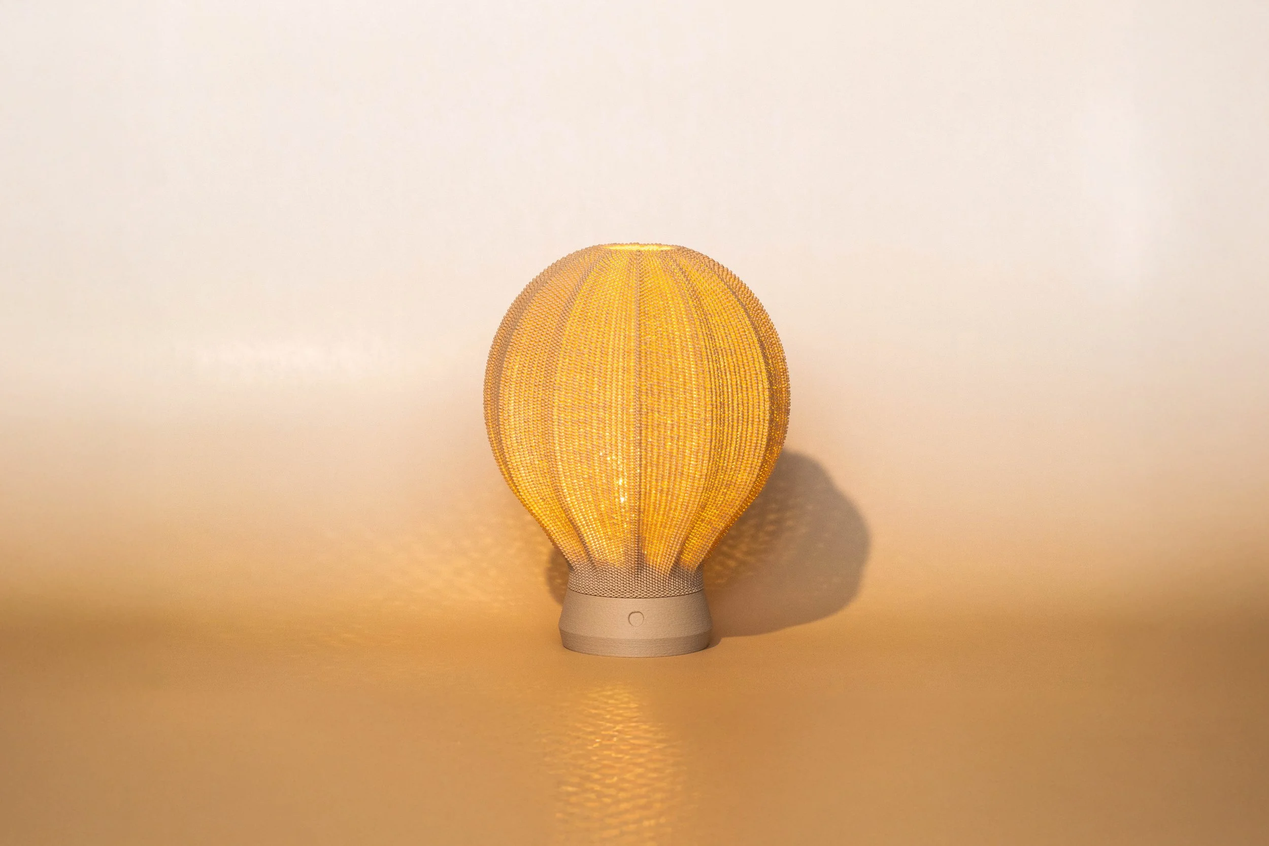 NoodoLab_Balloon_2025_PLA Wood_15x15x21cm_£200_2.jpg