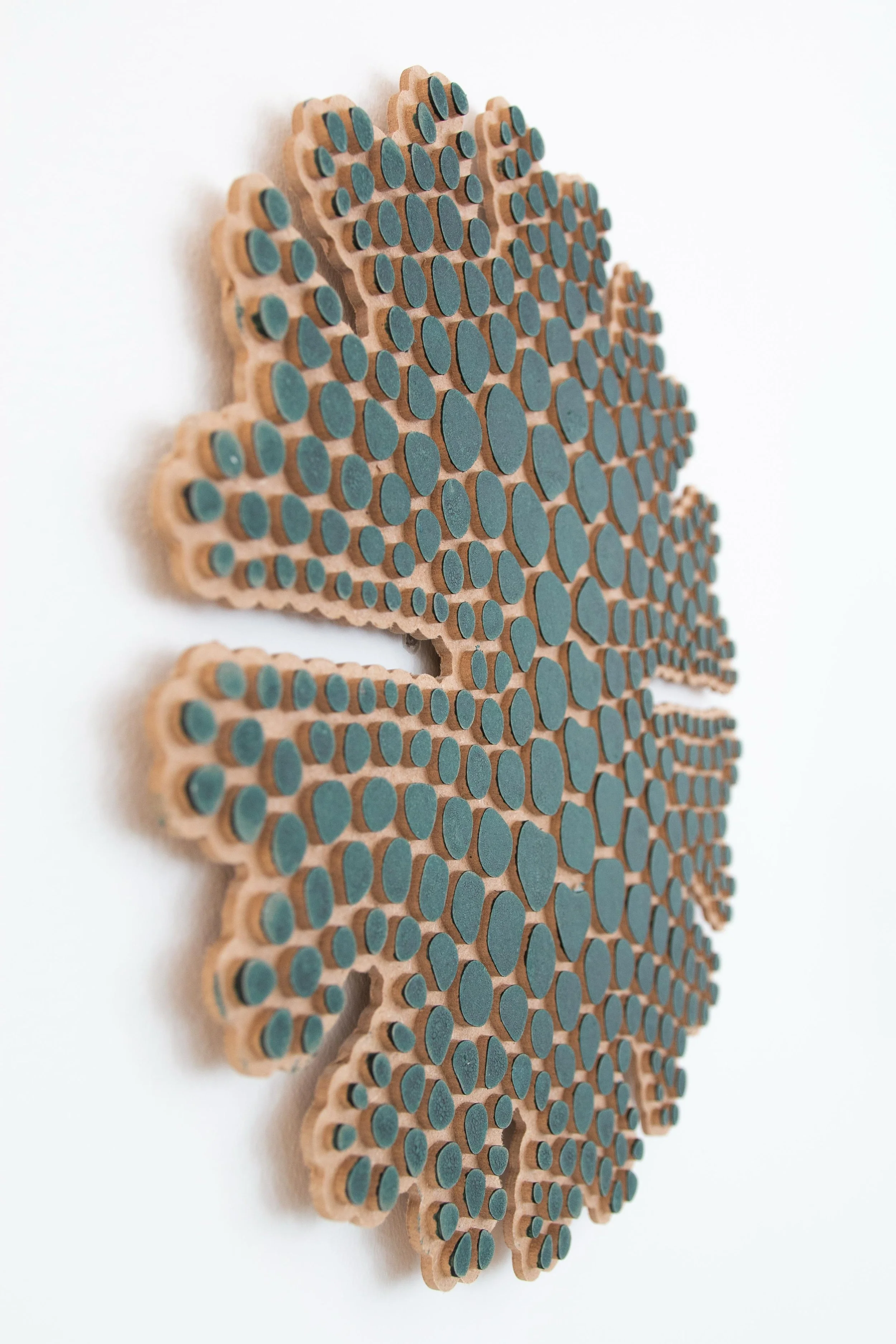 PeterNasielski_MicrasteriasMinorBlock_2024_UpcycledWood, AlgaePaint_32x32x1cm_£1900.jpeg