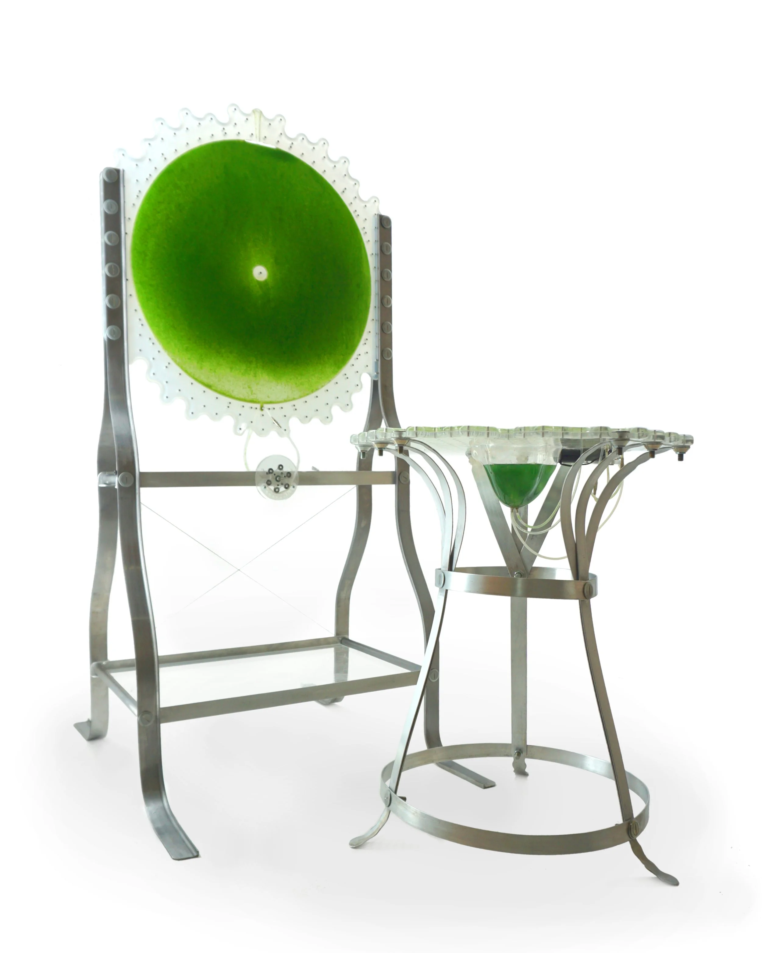 PeterNasielski_BioactiveTable&ProterozoicPortal(1)_2023_LiveAlgae&ReclaimedMaterials.JPG
