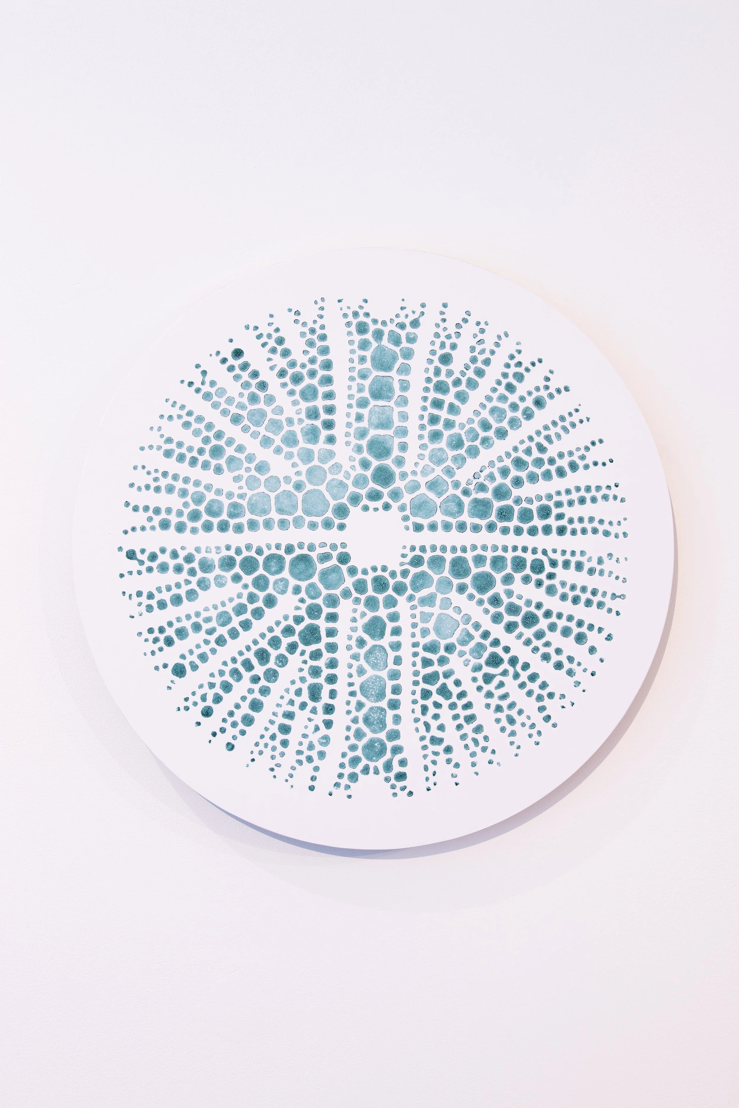 PeterNasielski_Micrasterias MajorAlgaePrint_2024_AlgaePaint,Paper,ReclaimedWood_40x40x2cm_£2500.jpeg