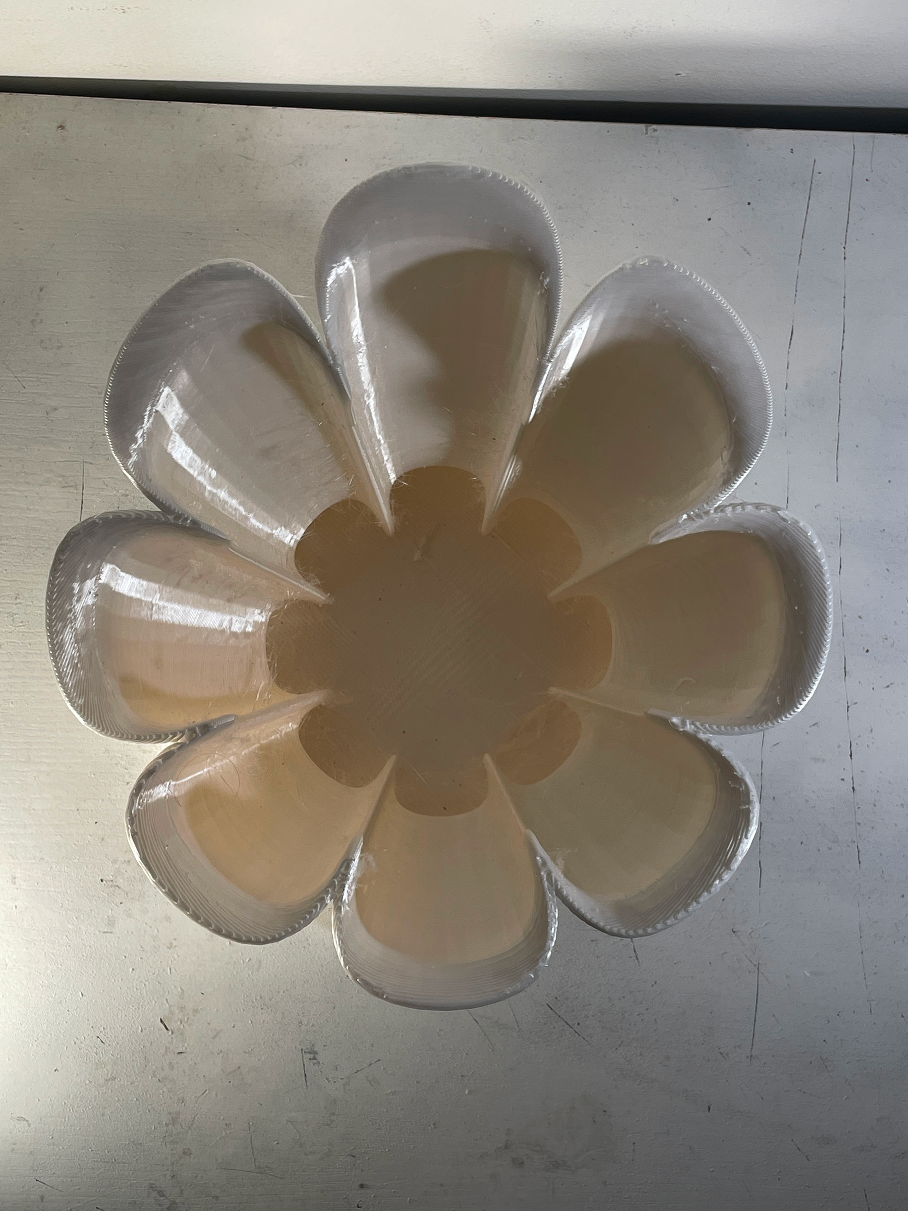 Planter Florae A 04.png
