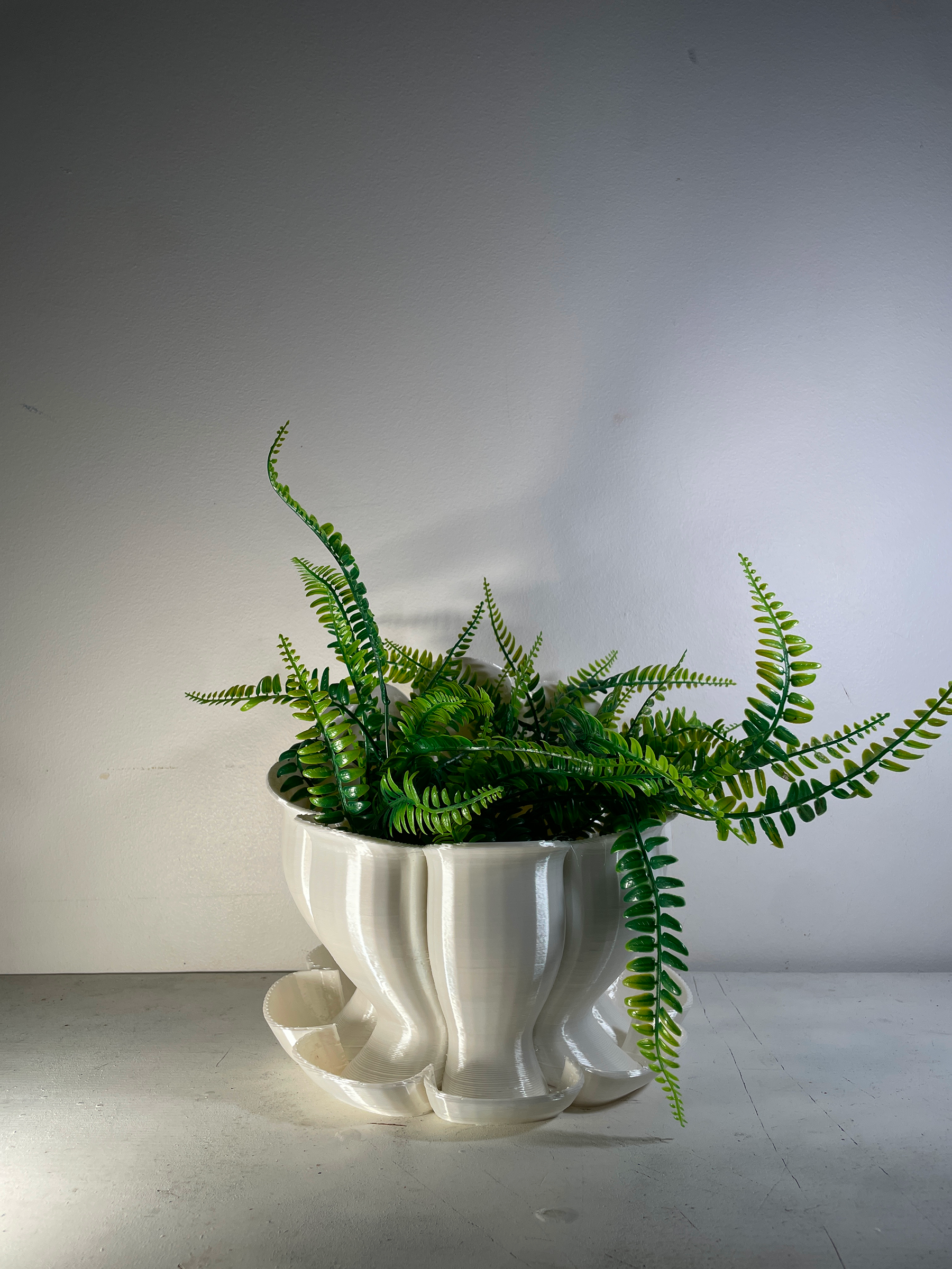 Planter Florae A 05.png
