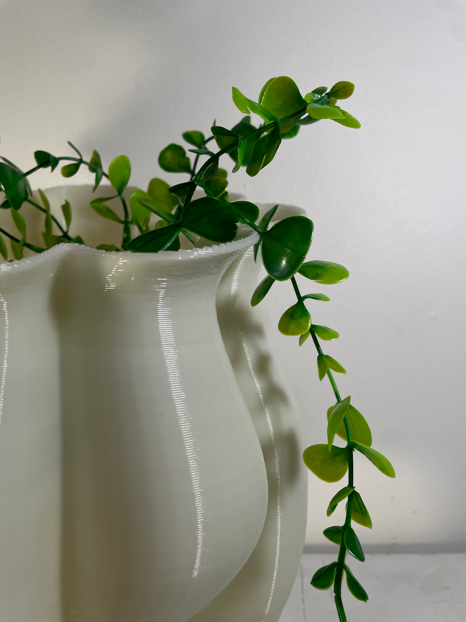 Planter Florae B 05.png