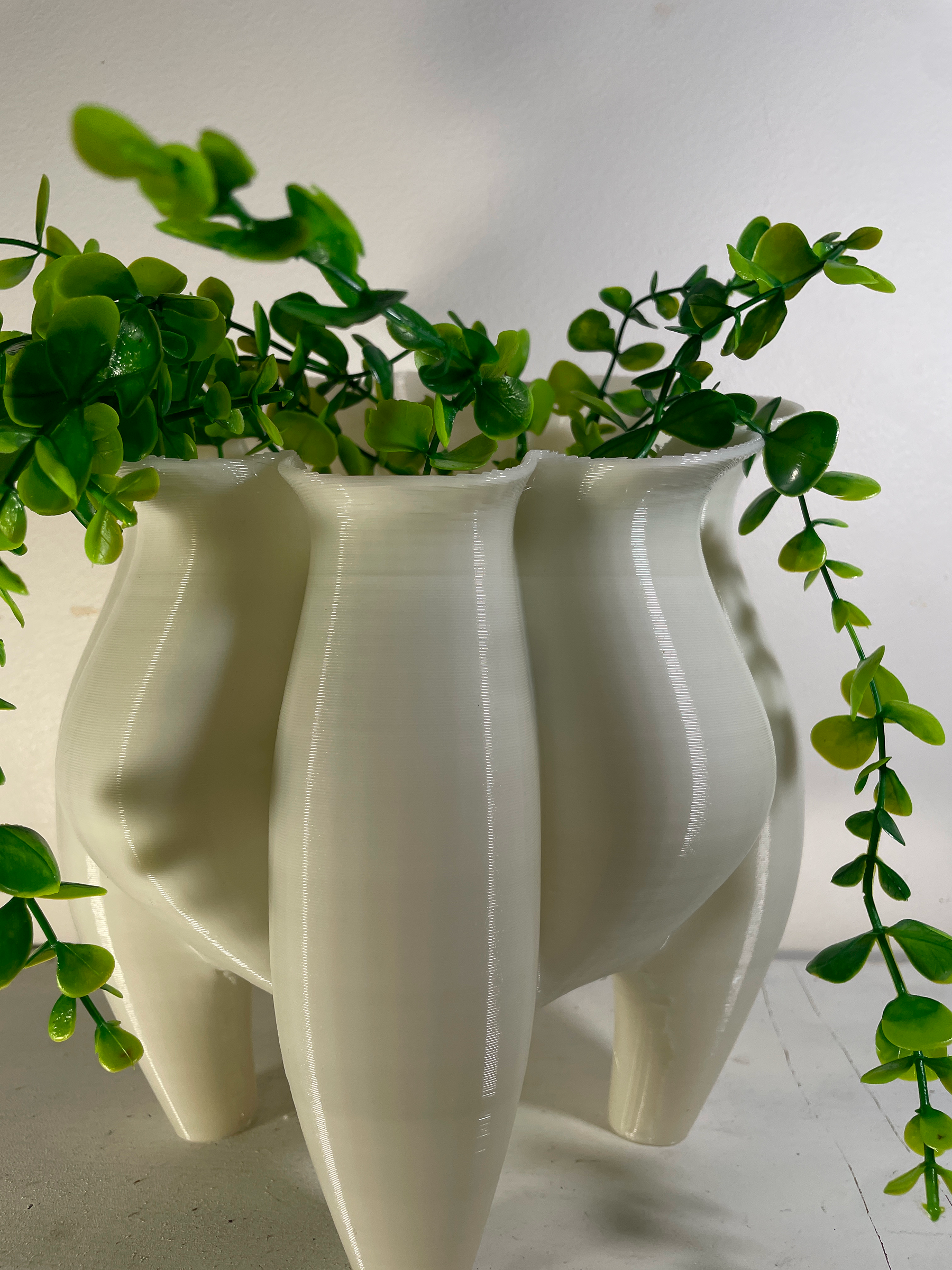 Planter Florae B 03.png