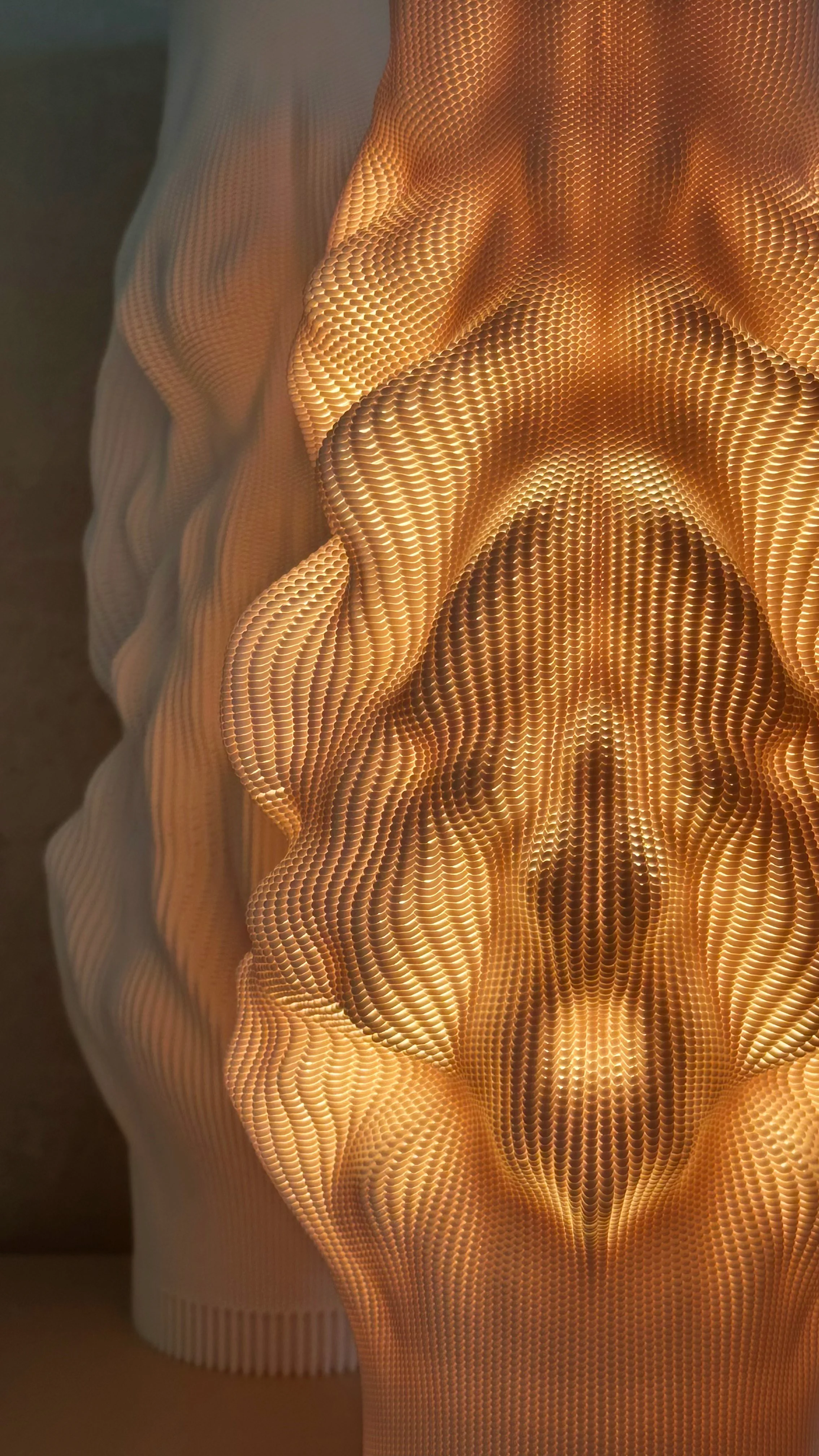 29_WoveMove_Myogenesis_2025_RecycledPET_15x15x47cm_NFS.jpg
