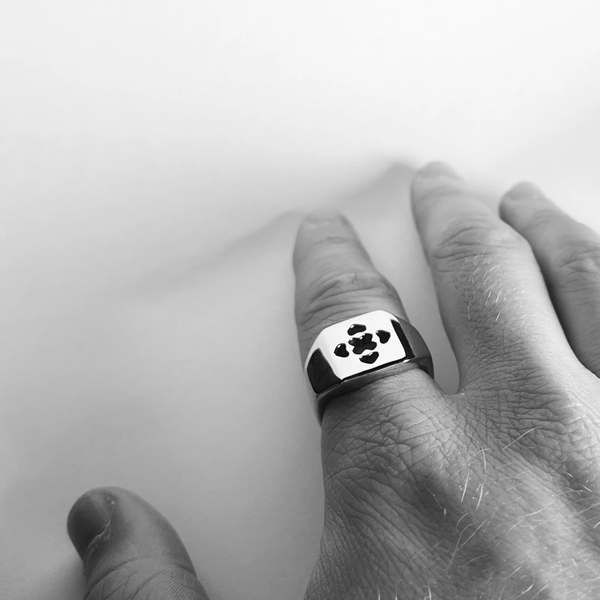 LUC_NIJMAN_ADVANCE_LAB_VX-3.0_2025_StainlessSteel316L_Ring_2.4x2.3x1.6cm_£49_5.jpg