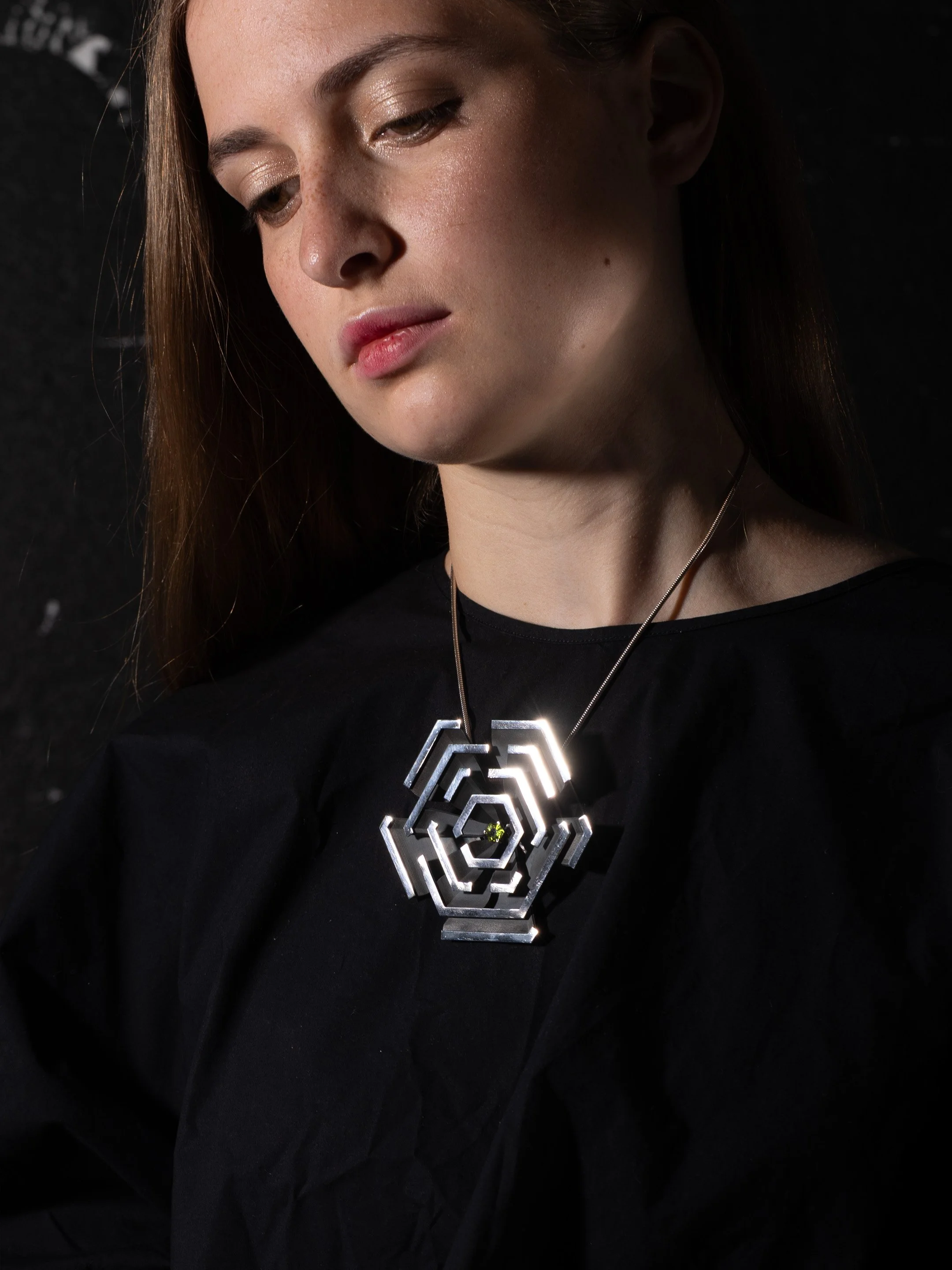 PORTAL_XTE J1118+480 medallion.jpg