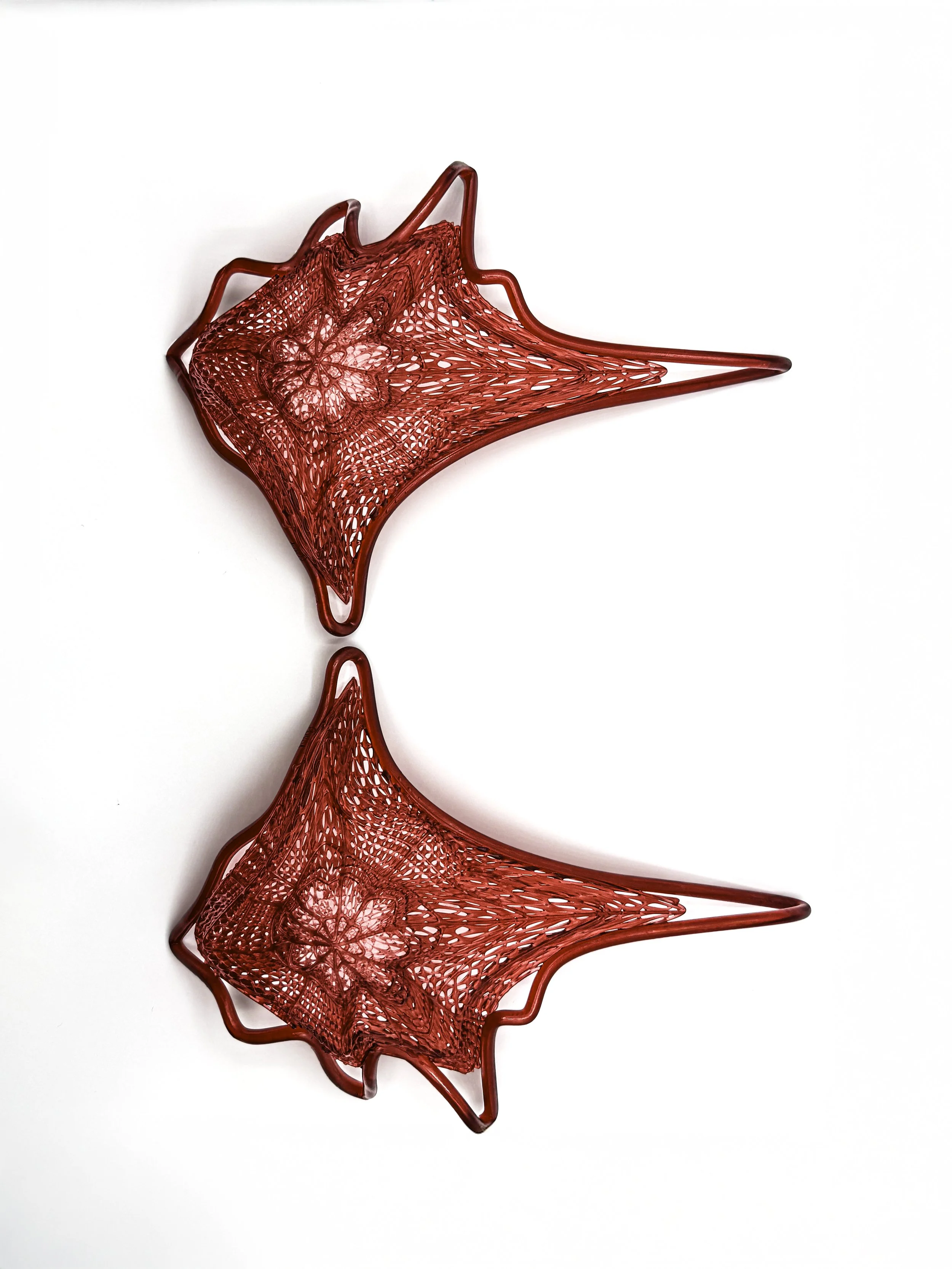 FernandaPovoa_AsteriasReticulata_2024_LeatherandPlant-BasedResin_24x18x10cm_£550(6).JPG