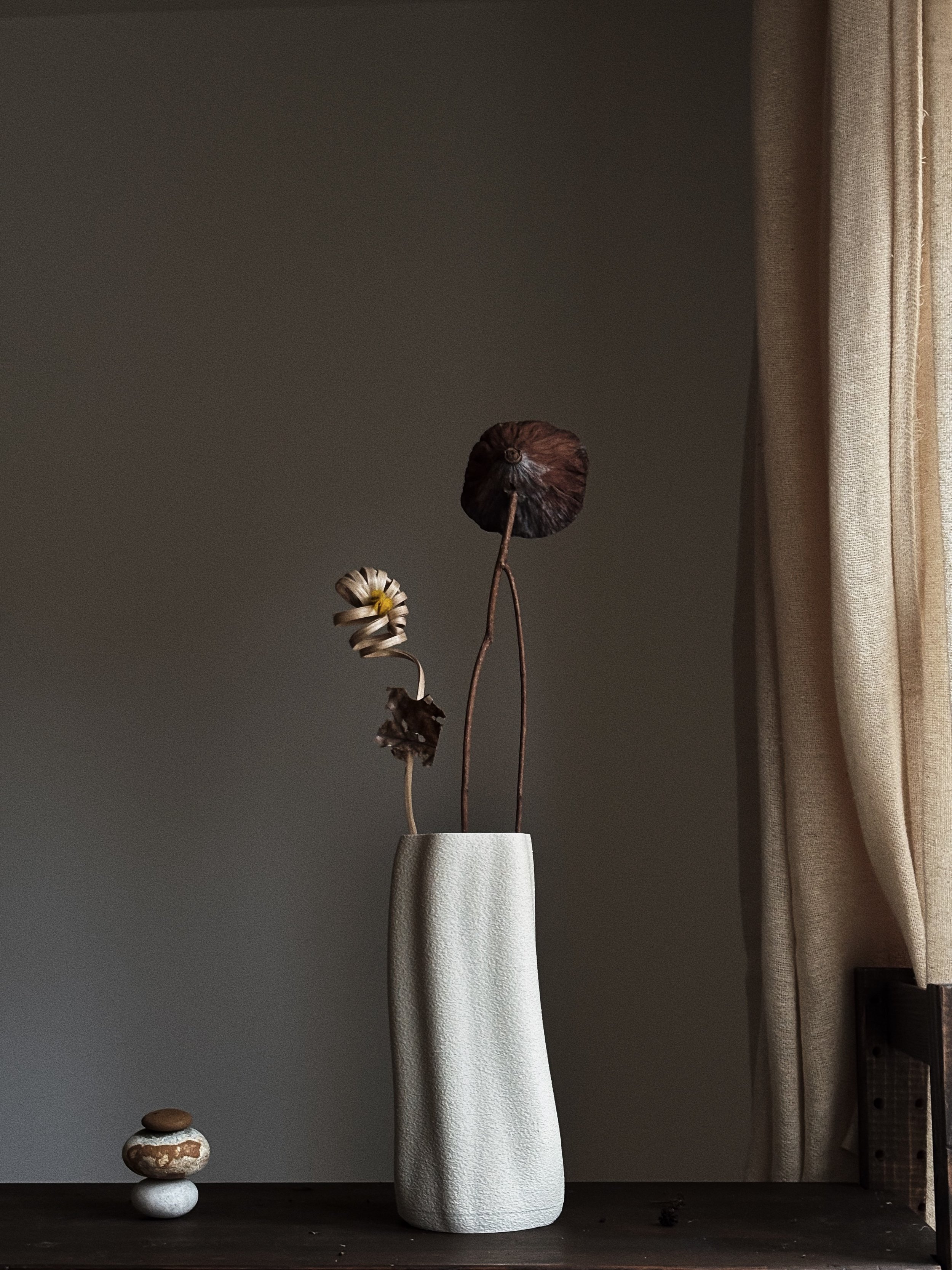 INSTA_AmanitaLabs_Amanitas Garden4.JPG