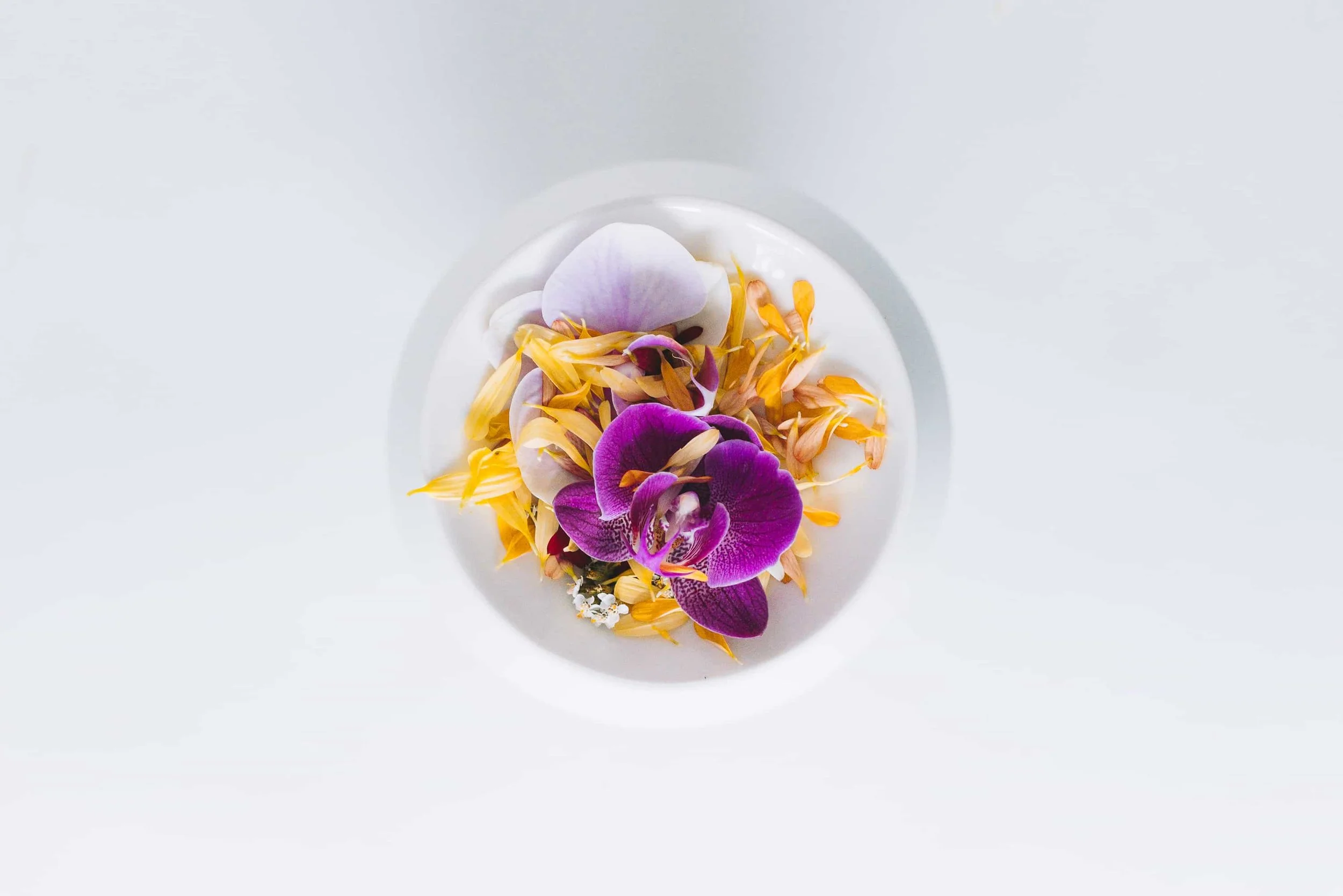 7.BarbaraStelmachowska_TheMealFromHelloFlowerSeries_2024_Porcelain_15x15x28cm_NFS.jpg