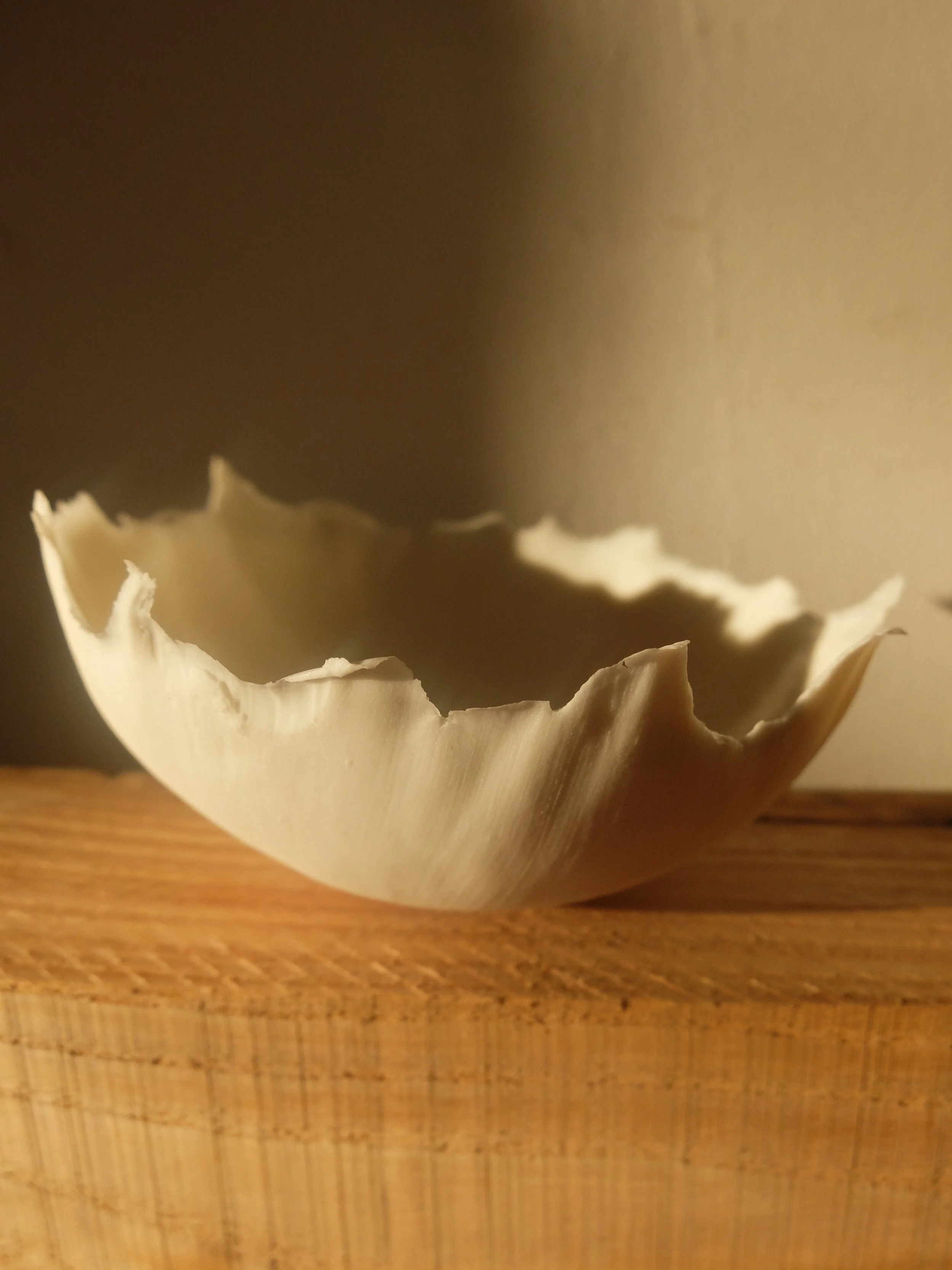 benedictemourgues-narcy_coquille _2024_porcelain _10cm.jpg