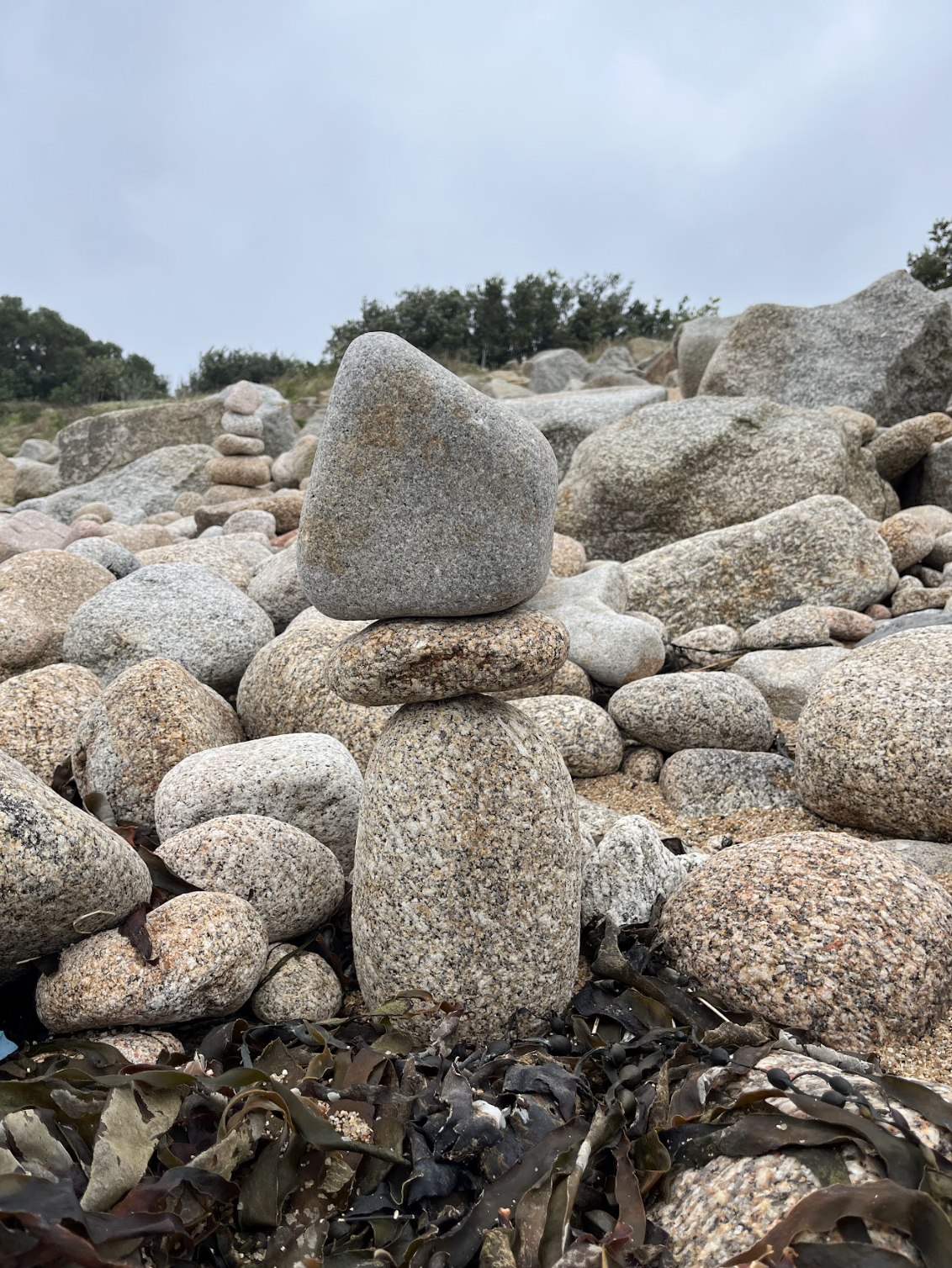 Screenshot 2026-03-04 at 14.14.58.png