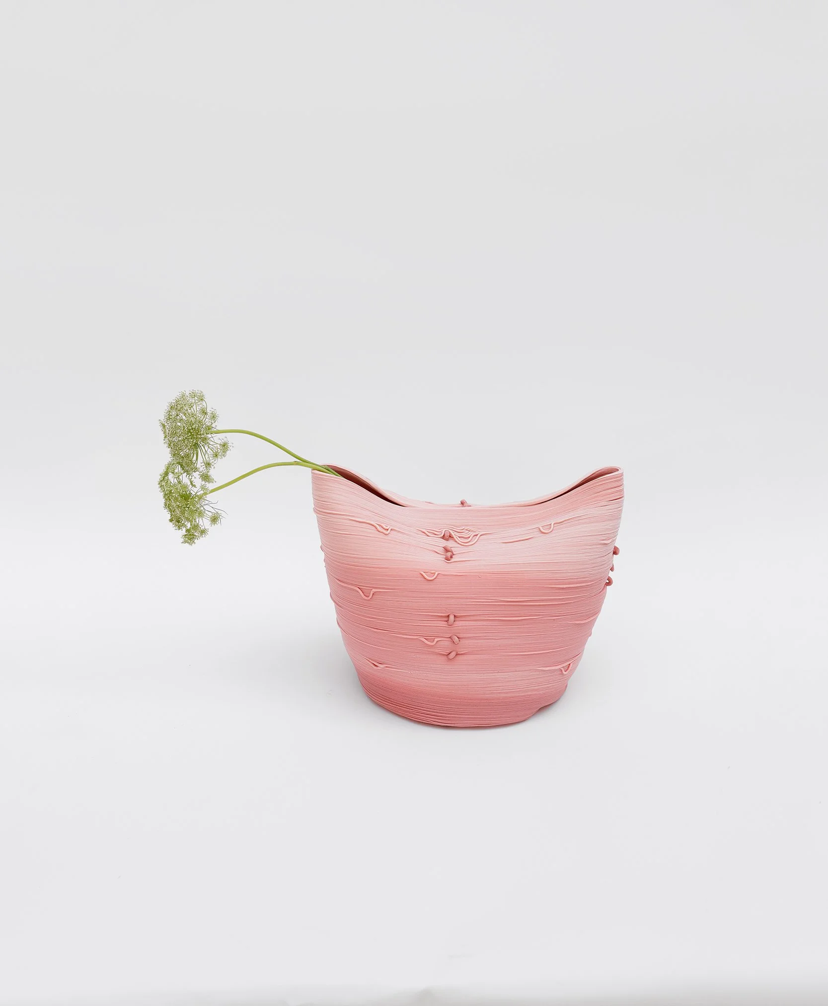 NhanNhi Lillian Nguyen_Bulb-01.jpg