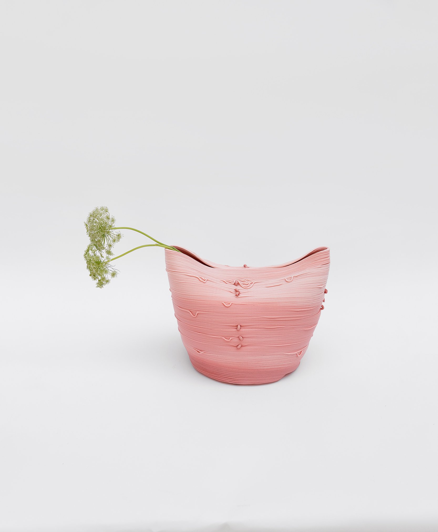 NhanNhi Lillian Nguyen_Bulb-01.jpg