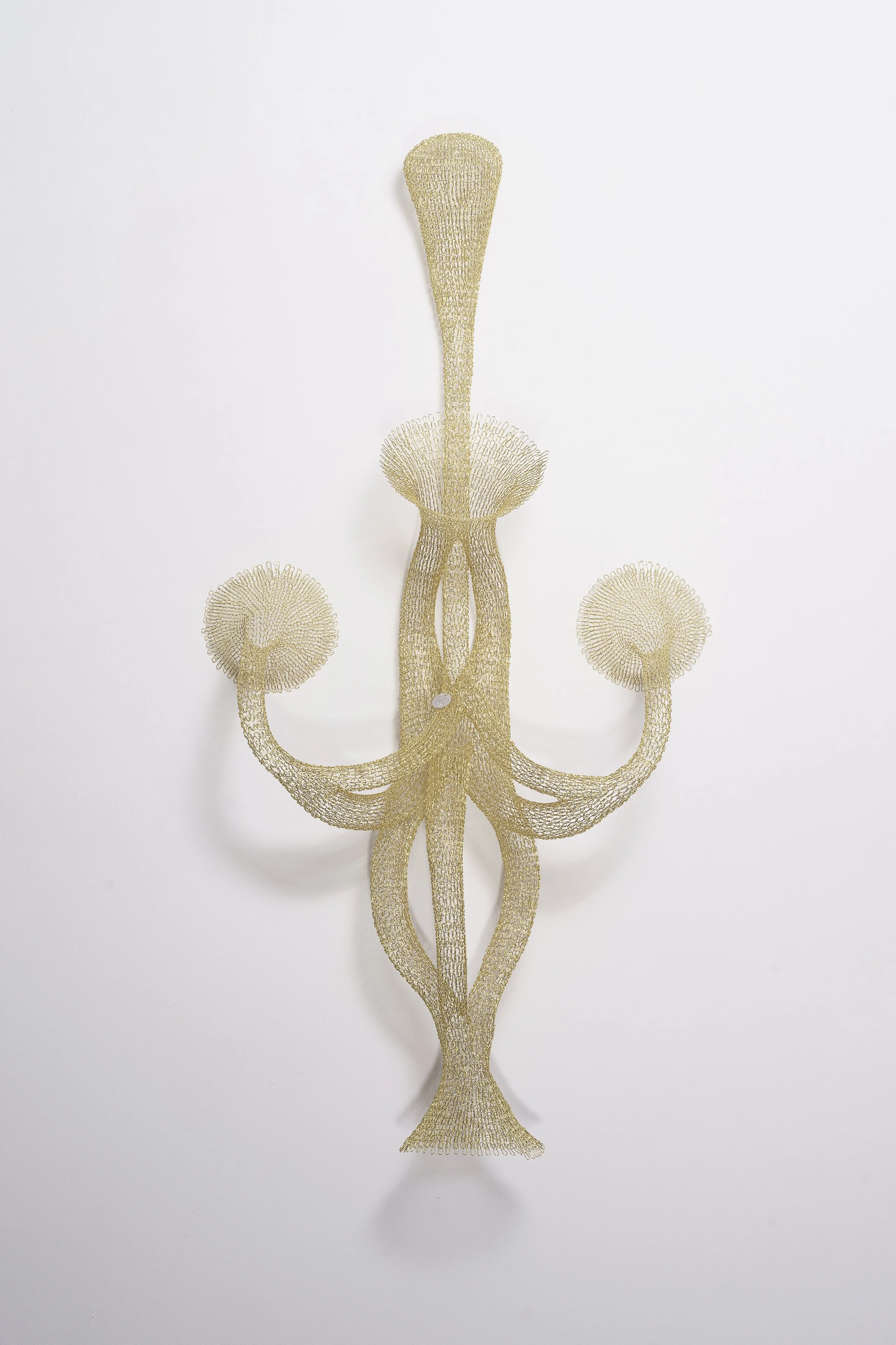 BLTS01 - bilateral series, 2022 Brass wire weave 120x60x20cm. (1).jpg