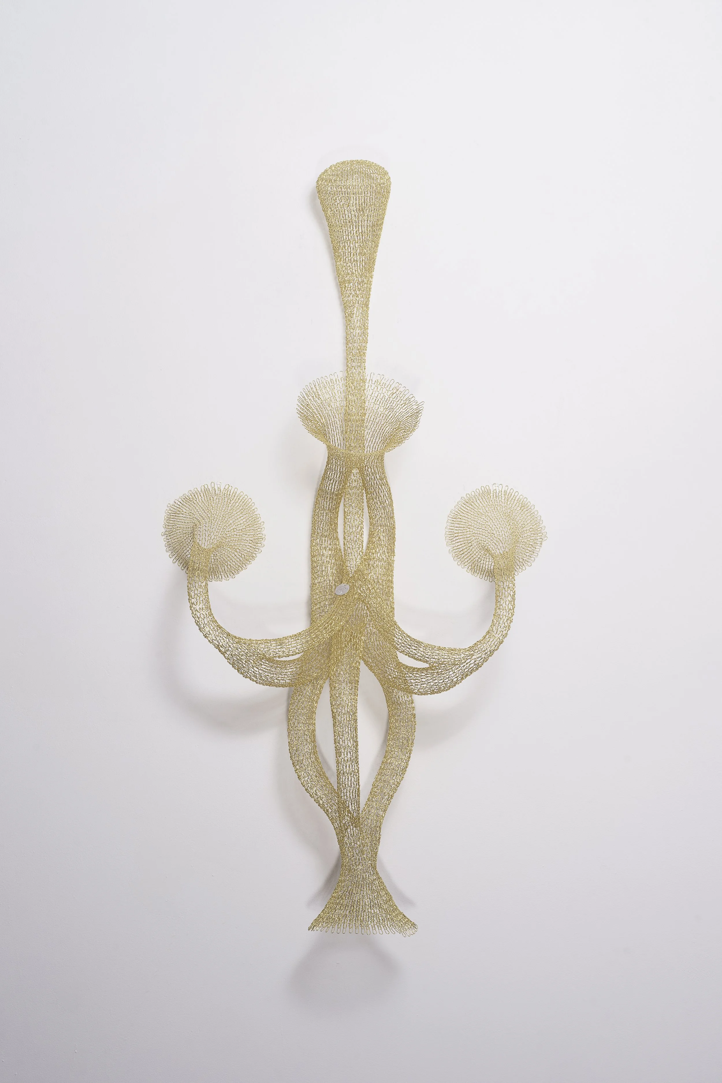 BLTS01 - bilateral series, 2022 Brass wire weave 120x60x20cm.. (2).jpg