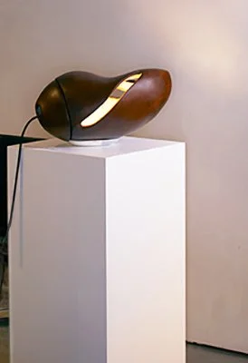 COCOON_3D printed sawdust_20x30cm.jpg