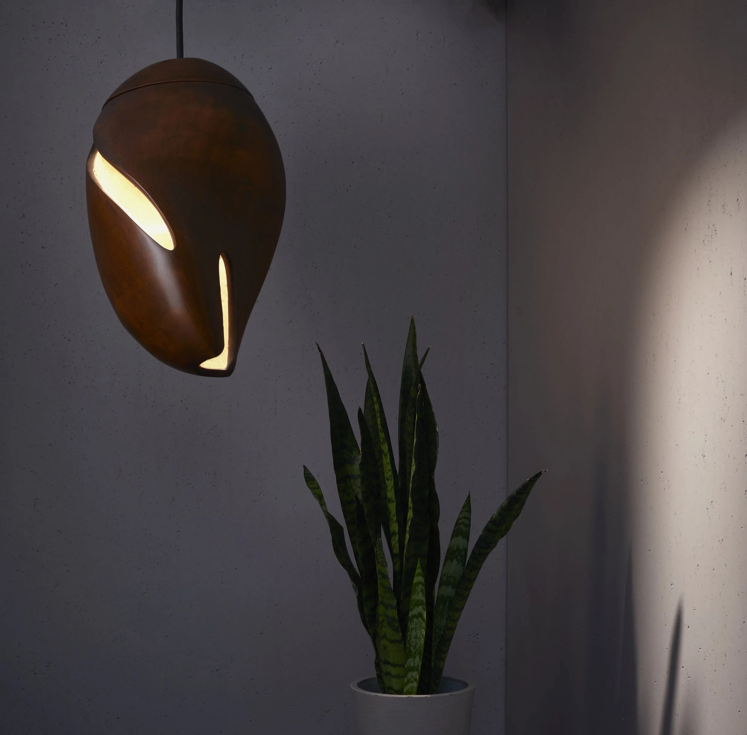 Cocoon_ContextShot_3109.jpg