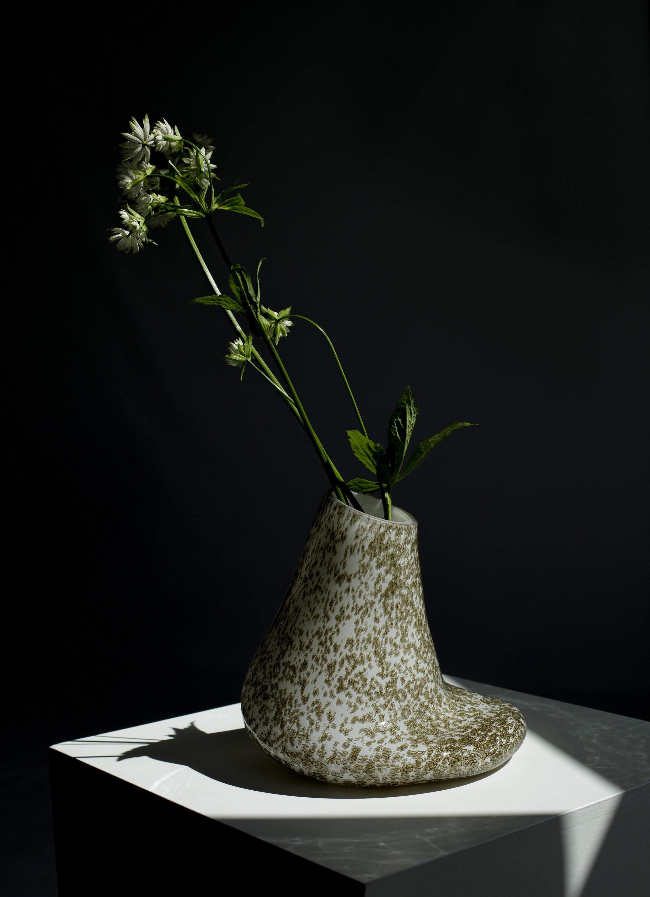 TACTILE OASIS Collection_BAIBAGLASS x IJD.jpg
