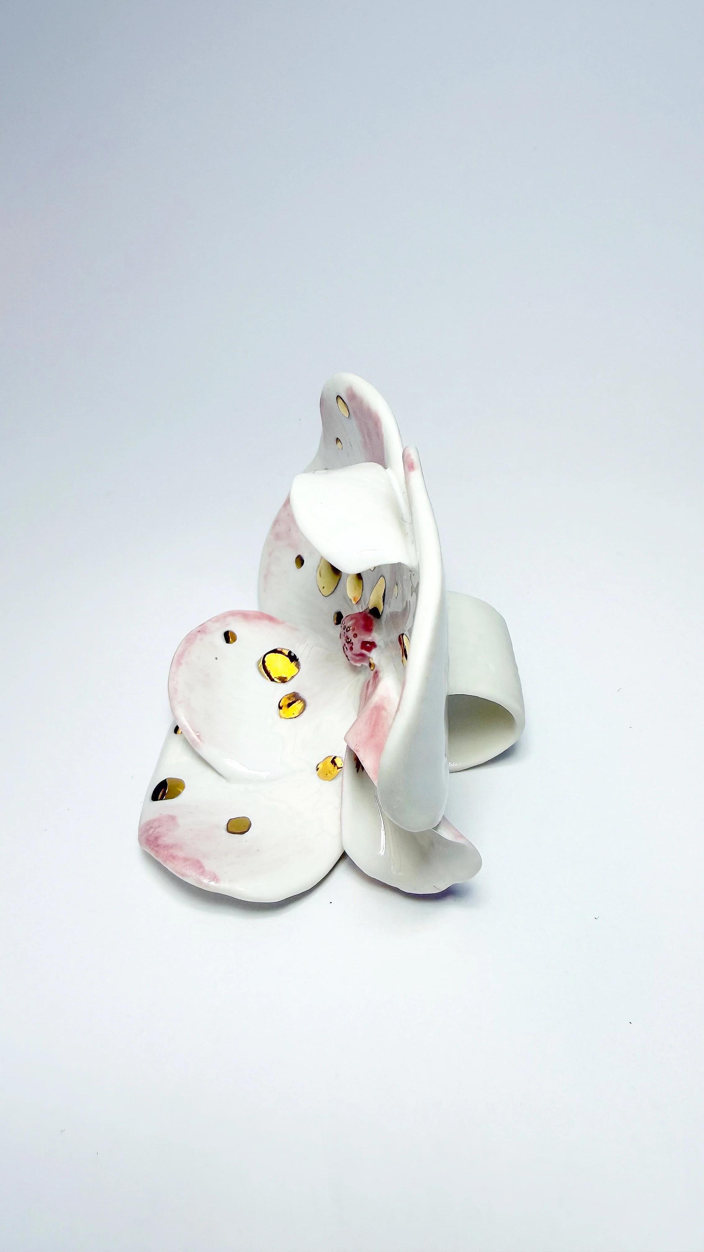 Roberta Piovani_Orchid Ring 3_2026.Jjpg.JPG
