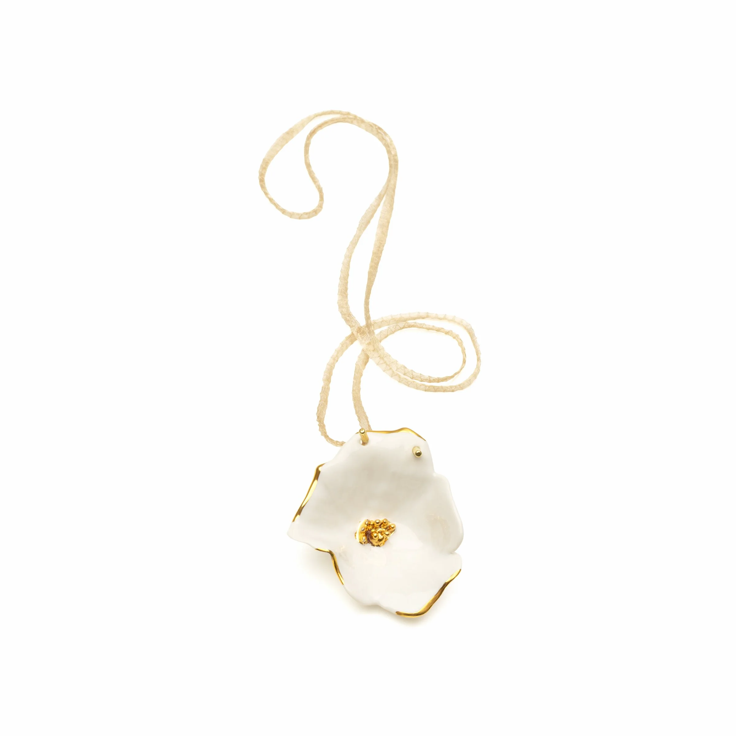 Roberta Piovani_07 Hibiscus White_1_2026.jpg