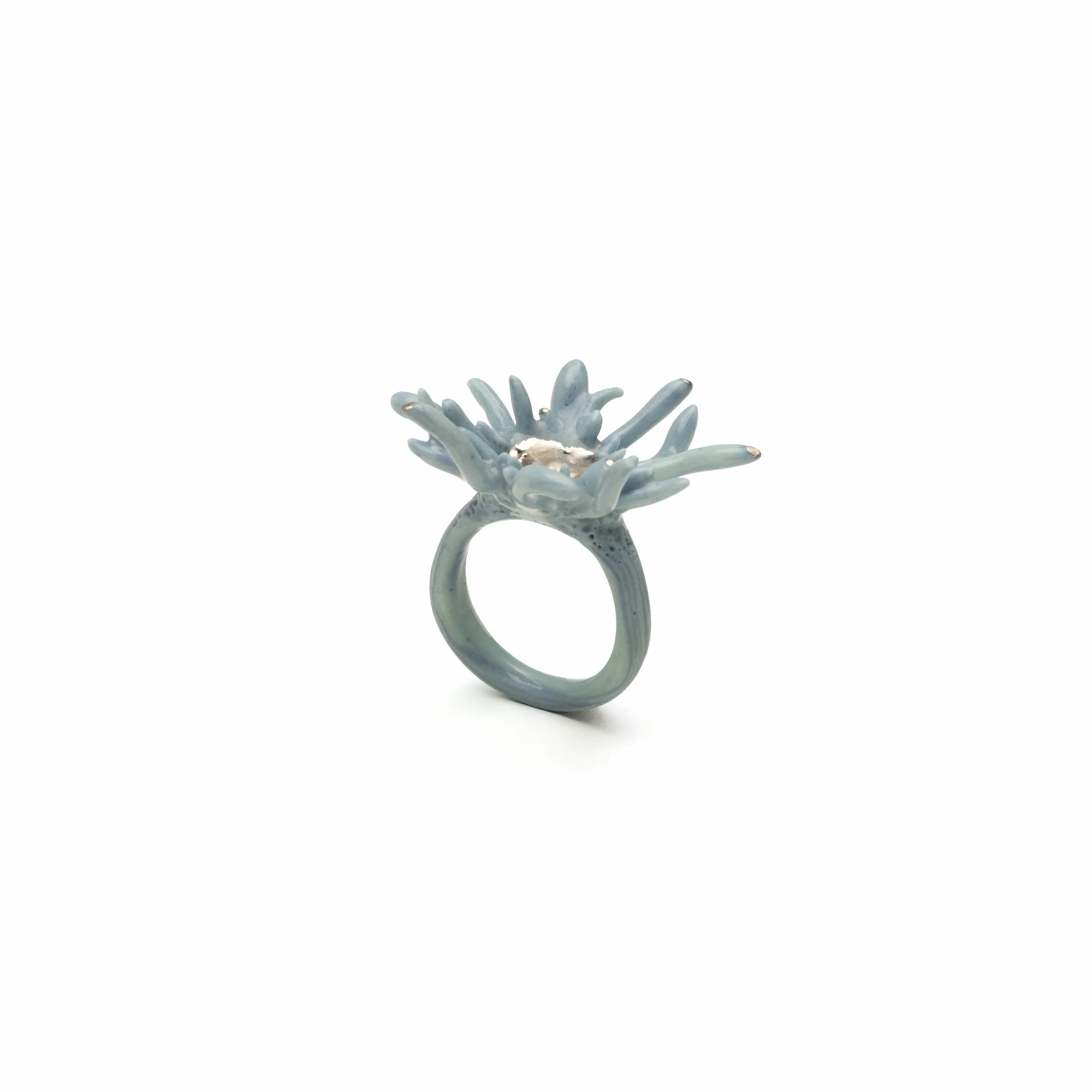 Roberta Piovani_18 Coral Ring_1_2026.jpg