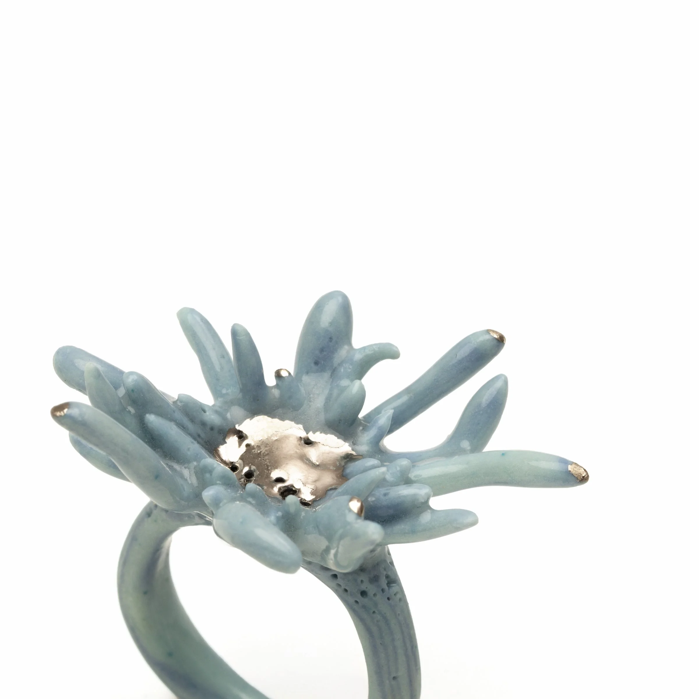 Roberta Piovani_18 Coral Ring_2_2026.jpg