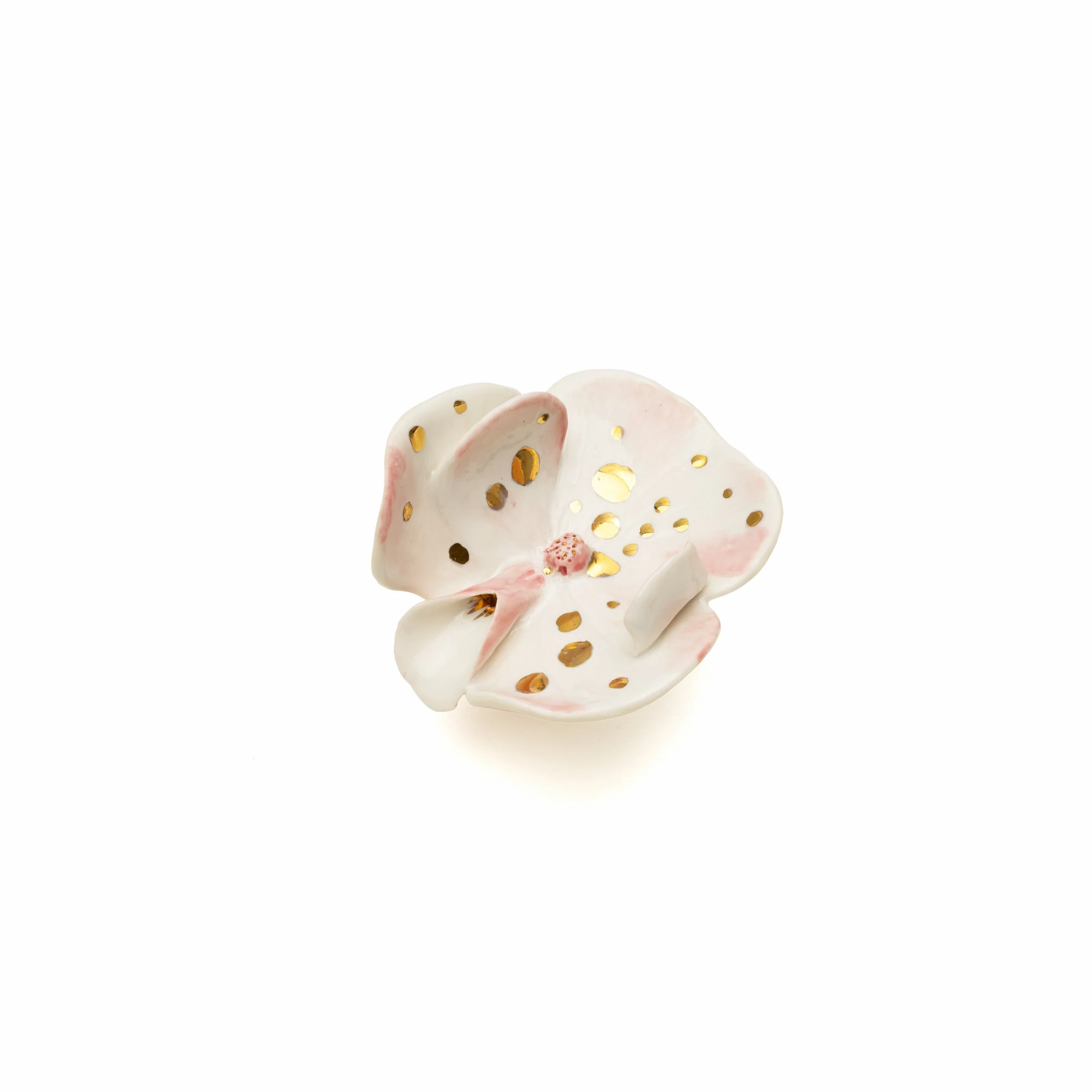 Roberta Piovani_20 Orchid Ring_2_2026.jpg