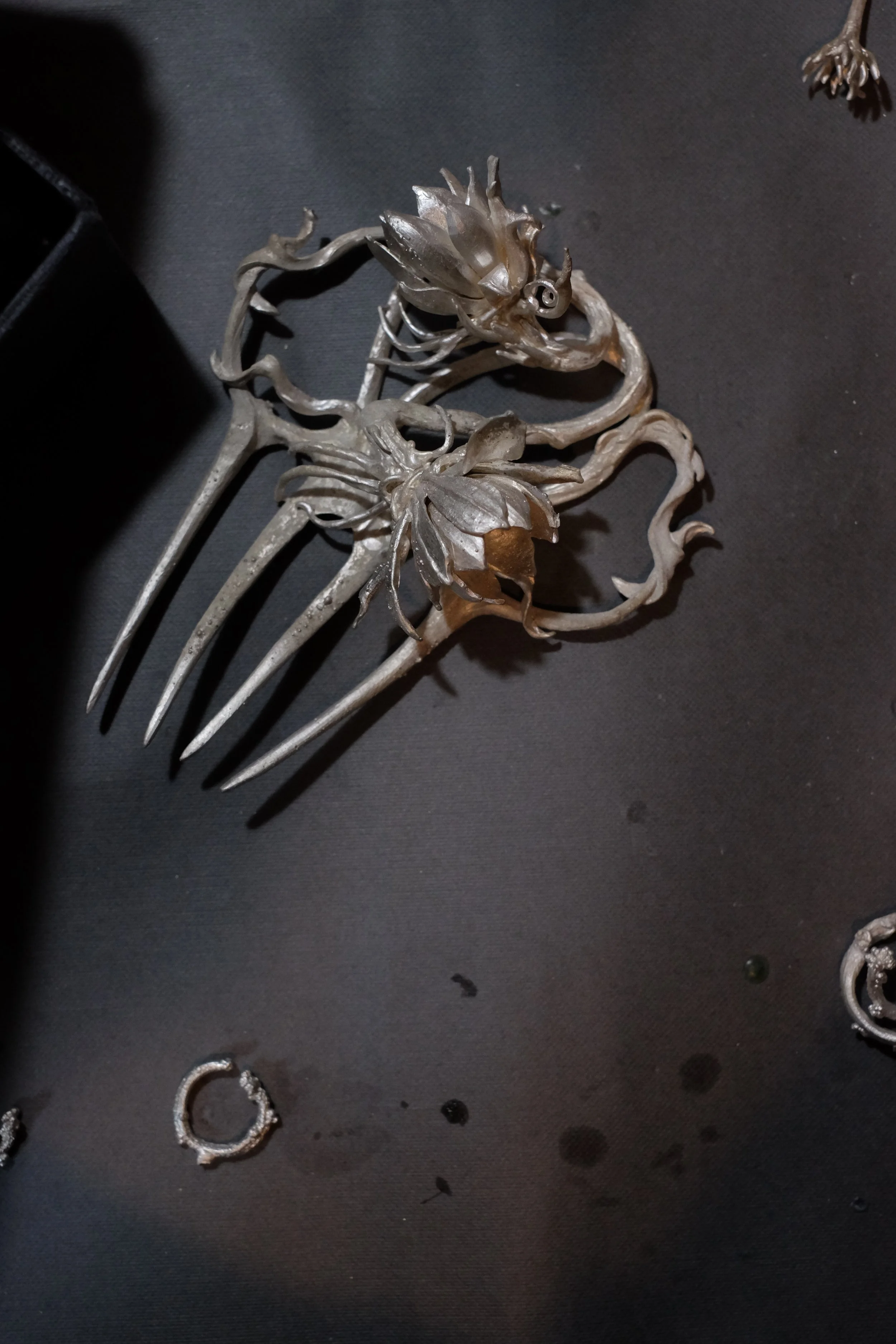 DSCF5516.JPG