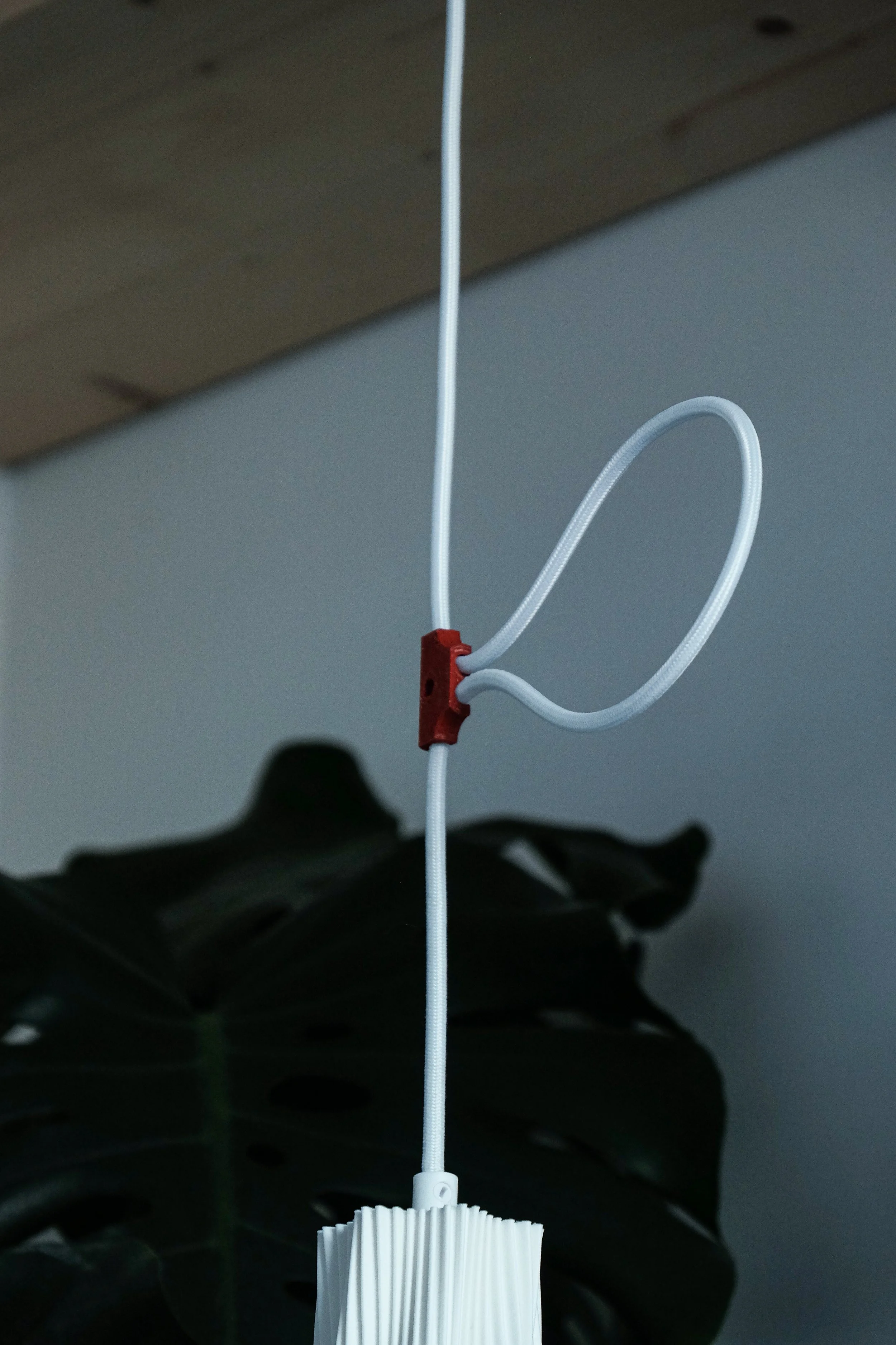 BIOMORPH_Bloom_2024_PolylacticAcid&Aluminium_25x25x30cm_100£ (3).jpg