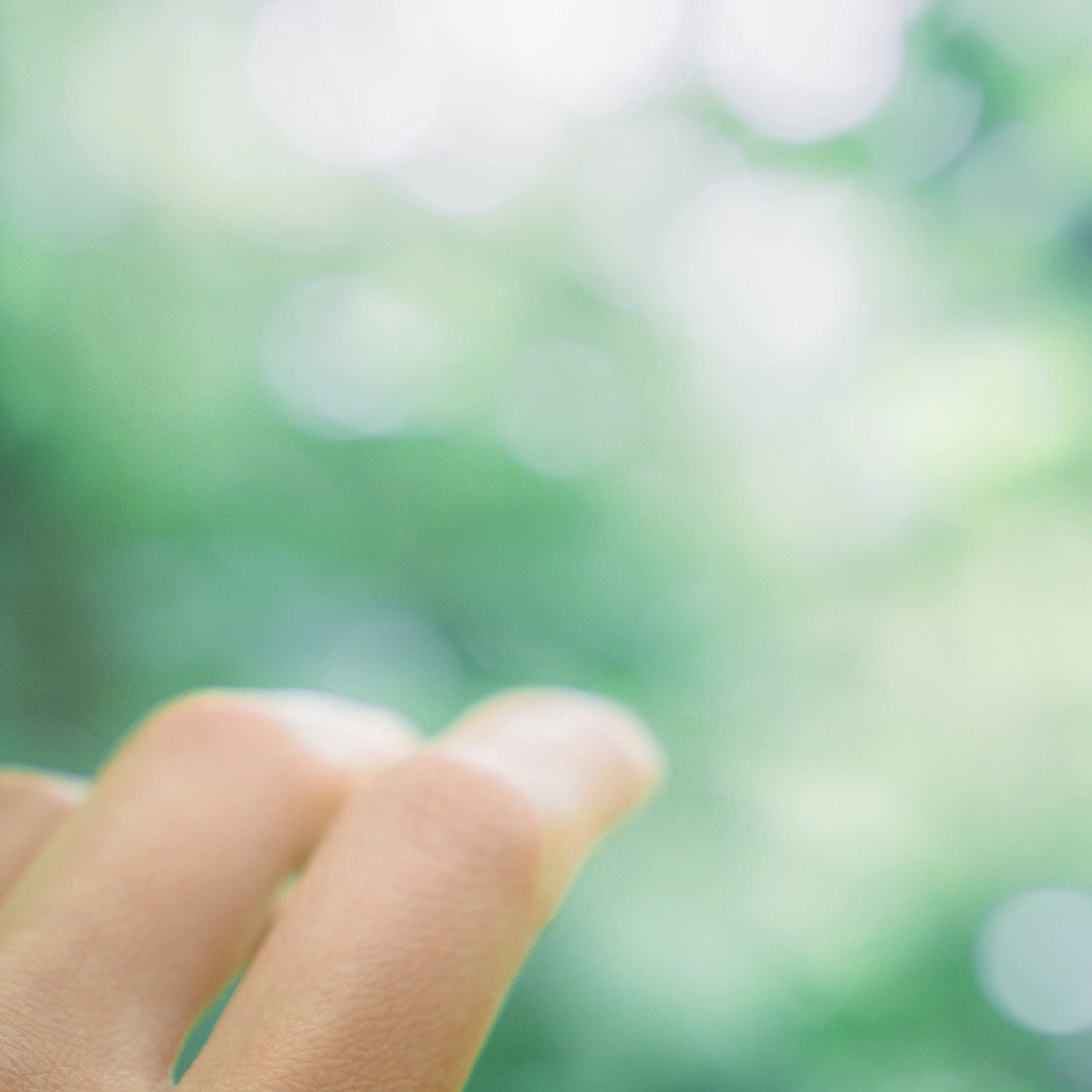 SHOP_Xinyang Han_Hello.jpg