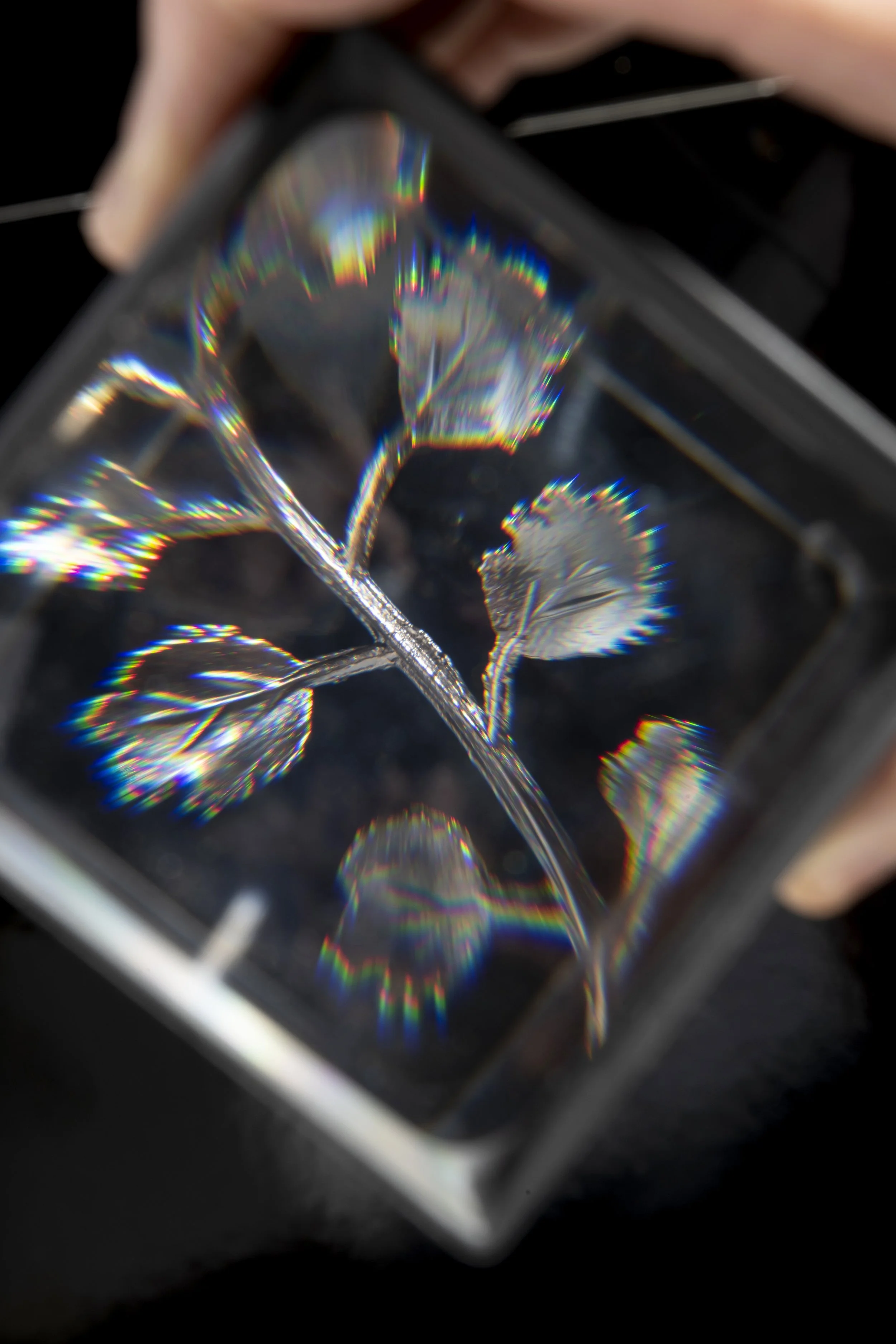 SHOP_ElsOpDeBeeck_Bloom Necklace#1_5.JPG