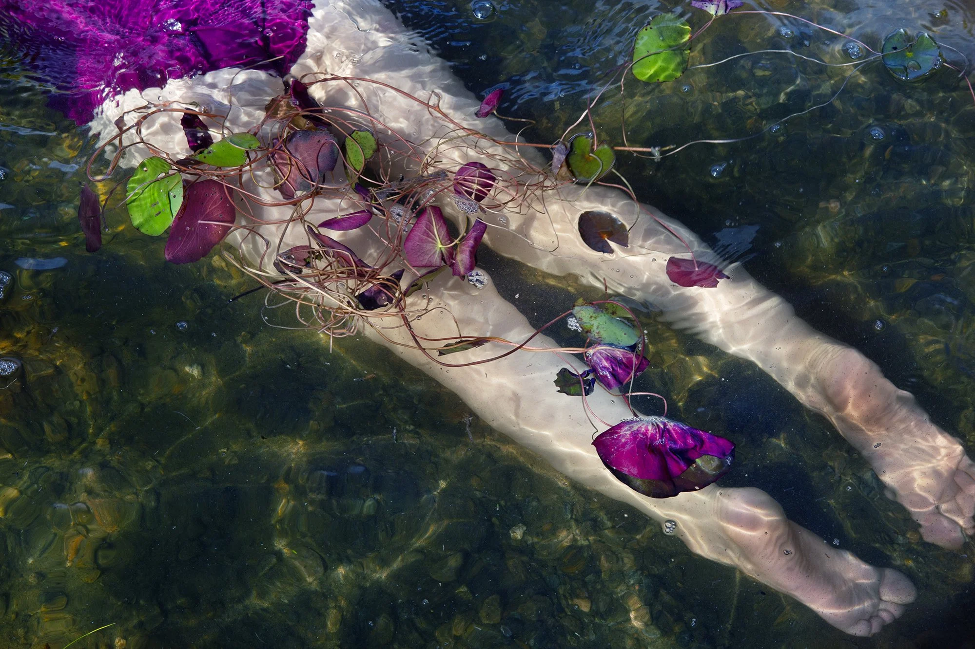 SHOP_LIVMANNTREMBLAY_FLOATINGTOGETHER.jpg