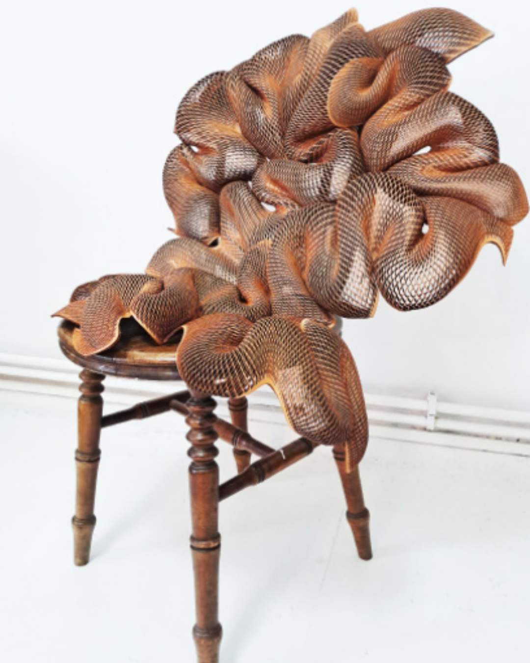 Untitled design (6).png