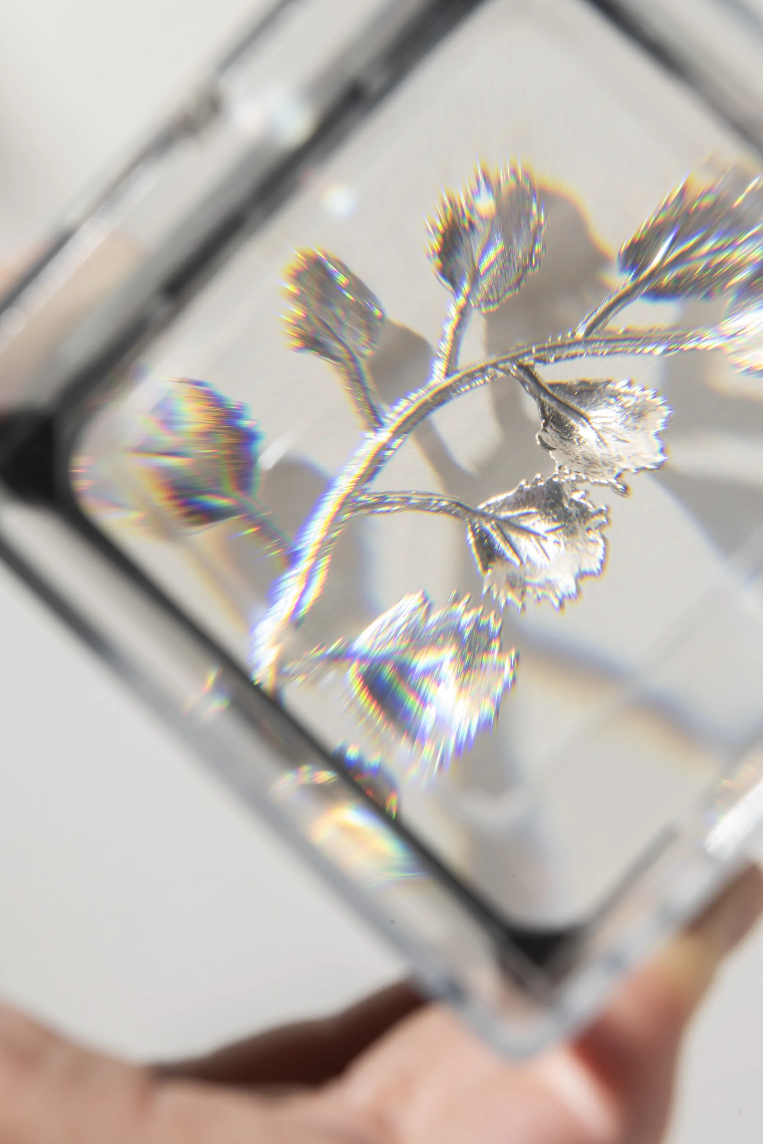 SHOP_ElsOpDeBeeck_Bloom single studs_1.JPG