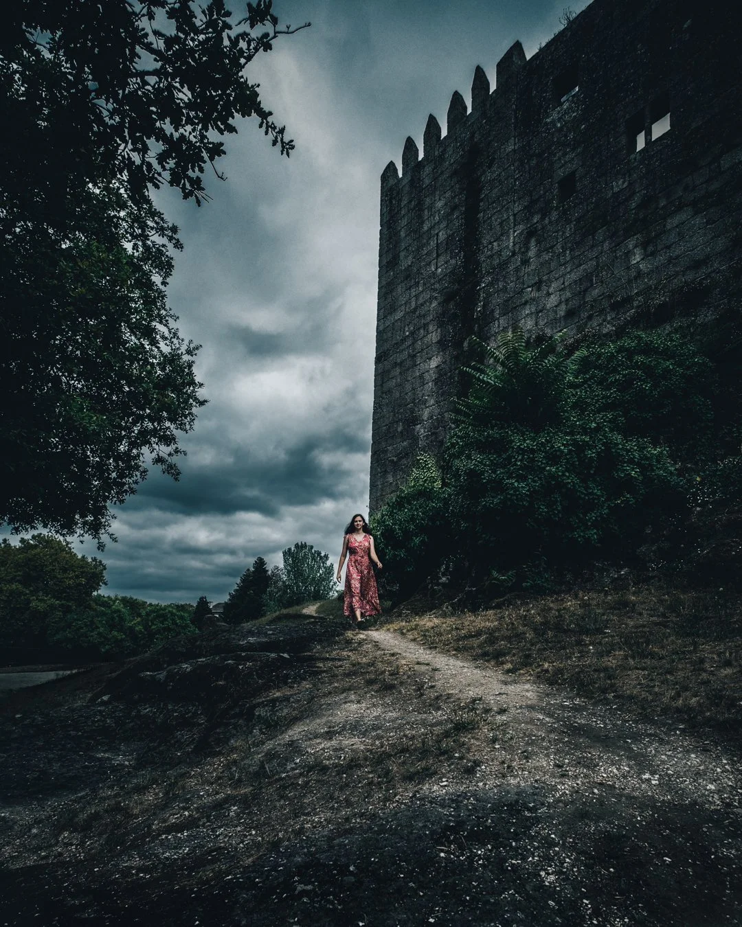 SHOP_KATHY HARMS_EMERGENCE.JPG