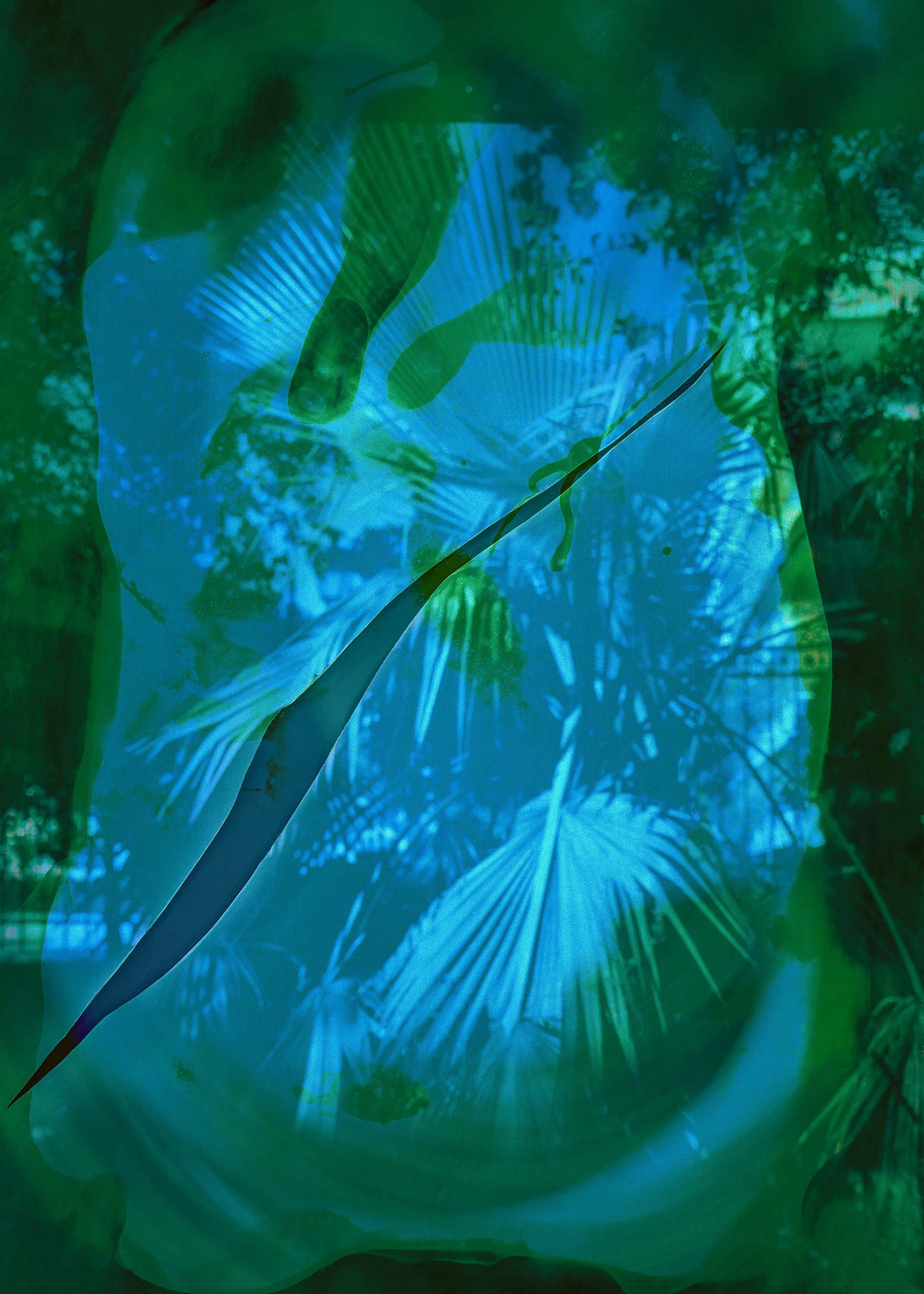 2 SHOP_ELIAS YANNAS TSIGOUNIS_UNTITLED 2_ELEGOS.jpg