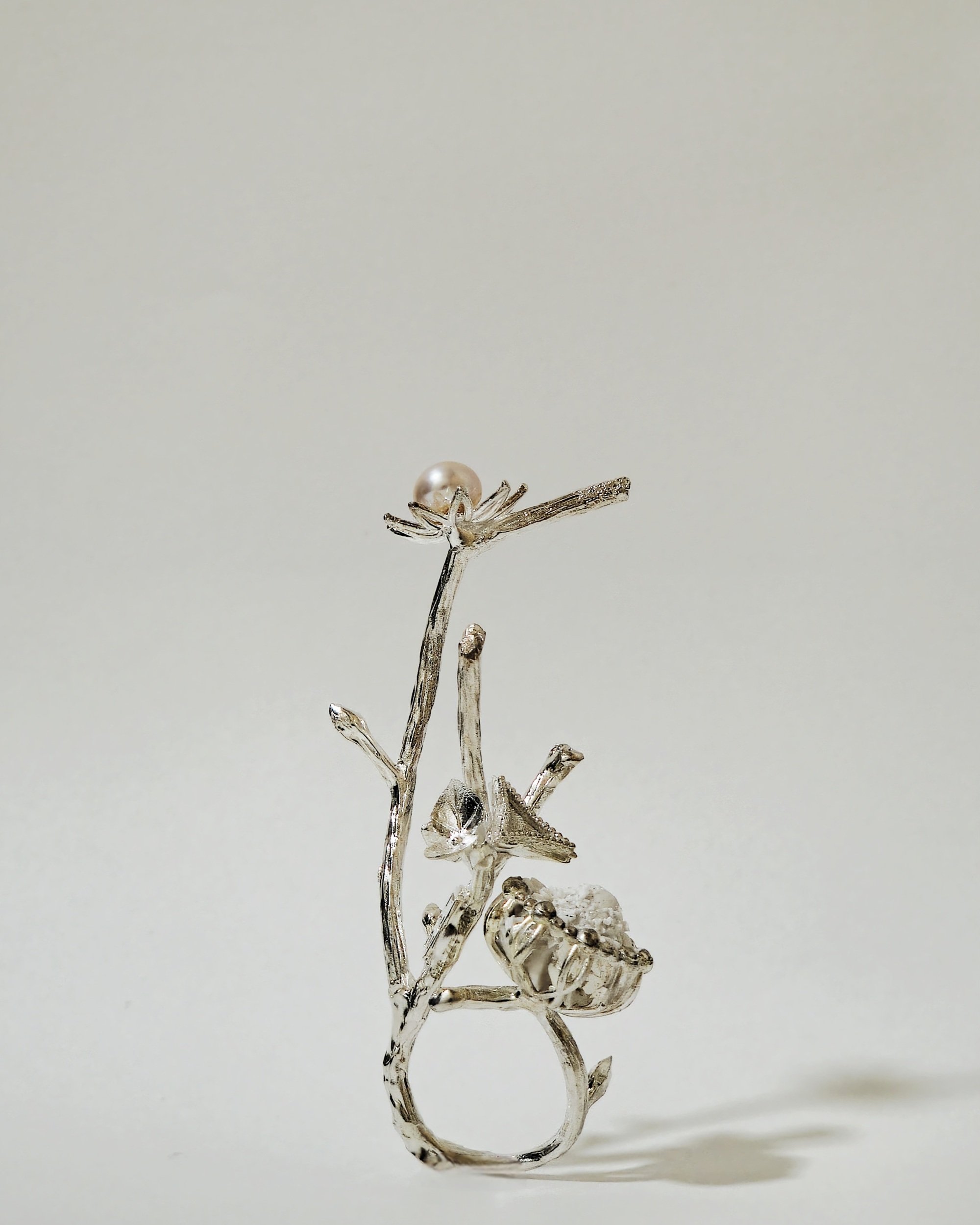 SHOP_kiryoung RO__A winter garden _3.jpg