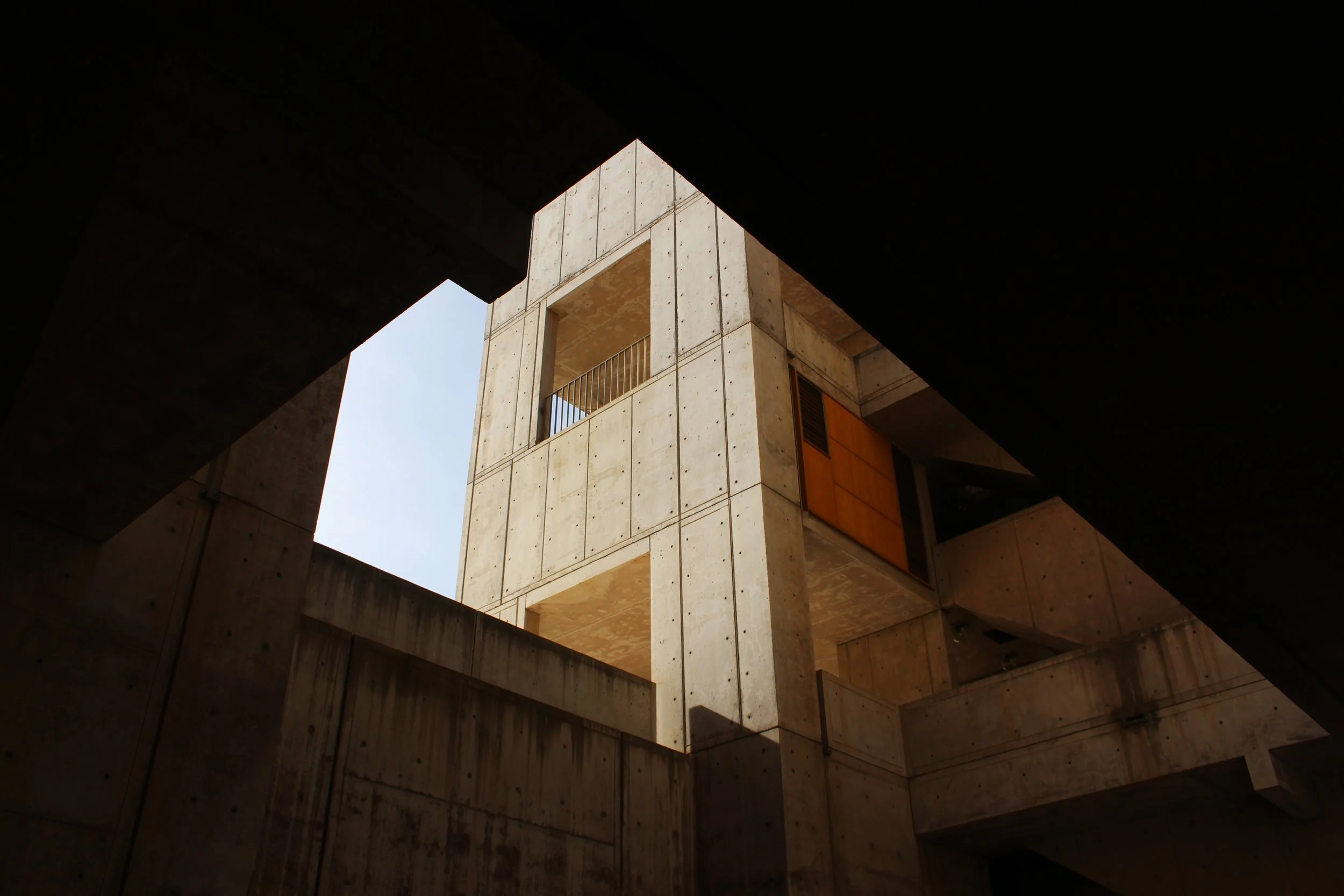 SHOP_RAPHAEL IRUZUN MARTINS_REVEALING SALK.jpg