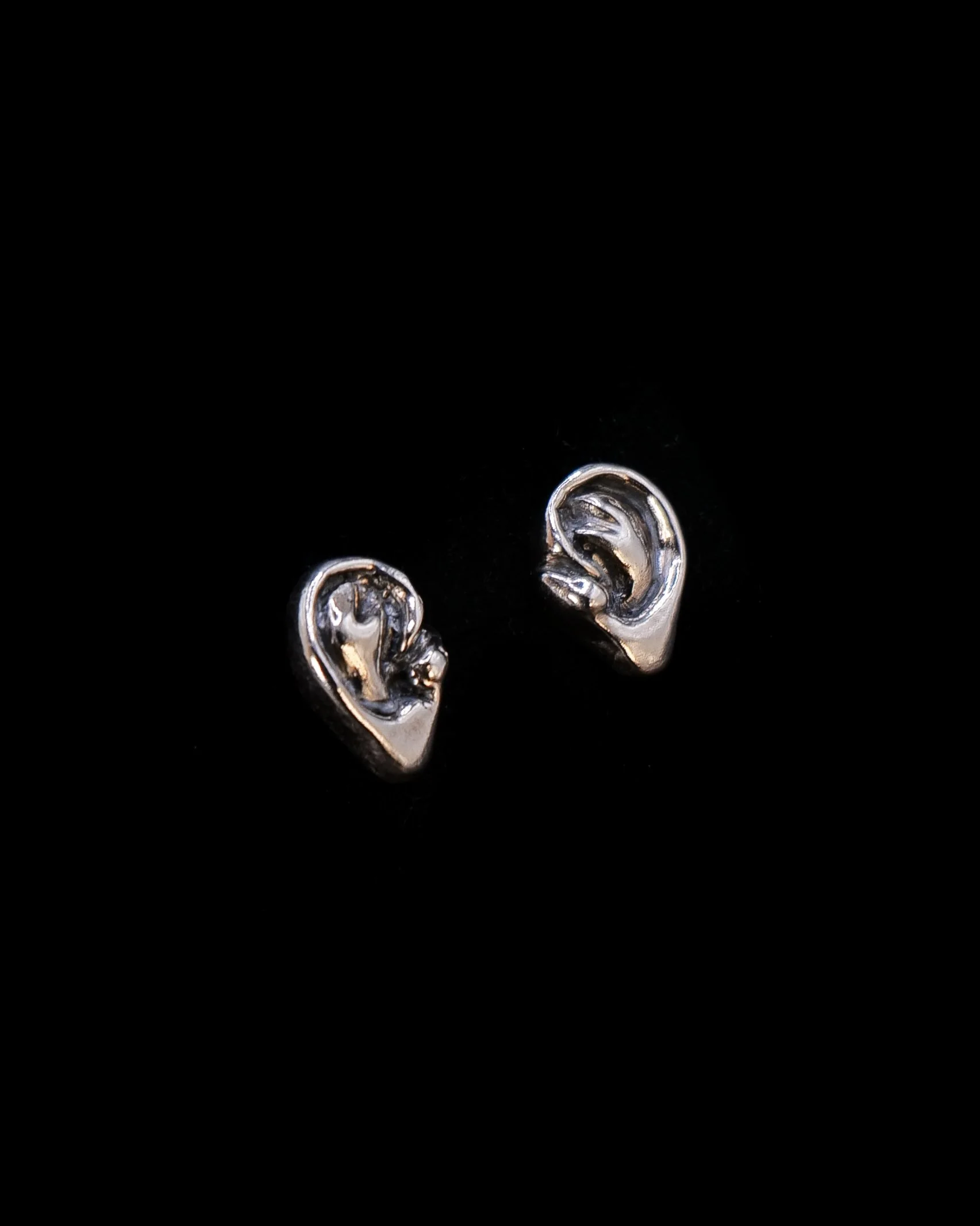 P1132555.jpg