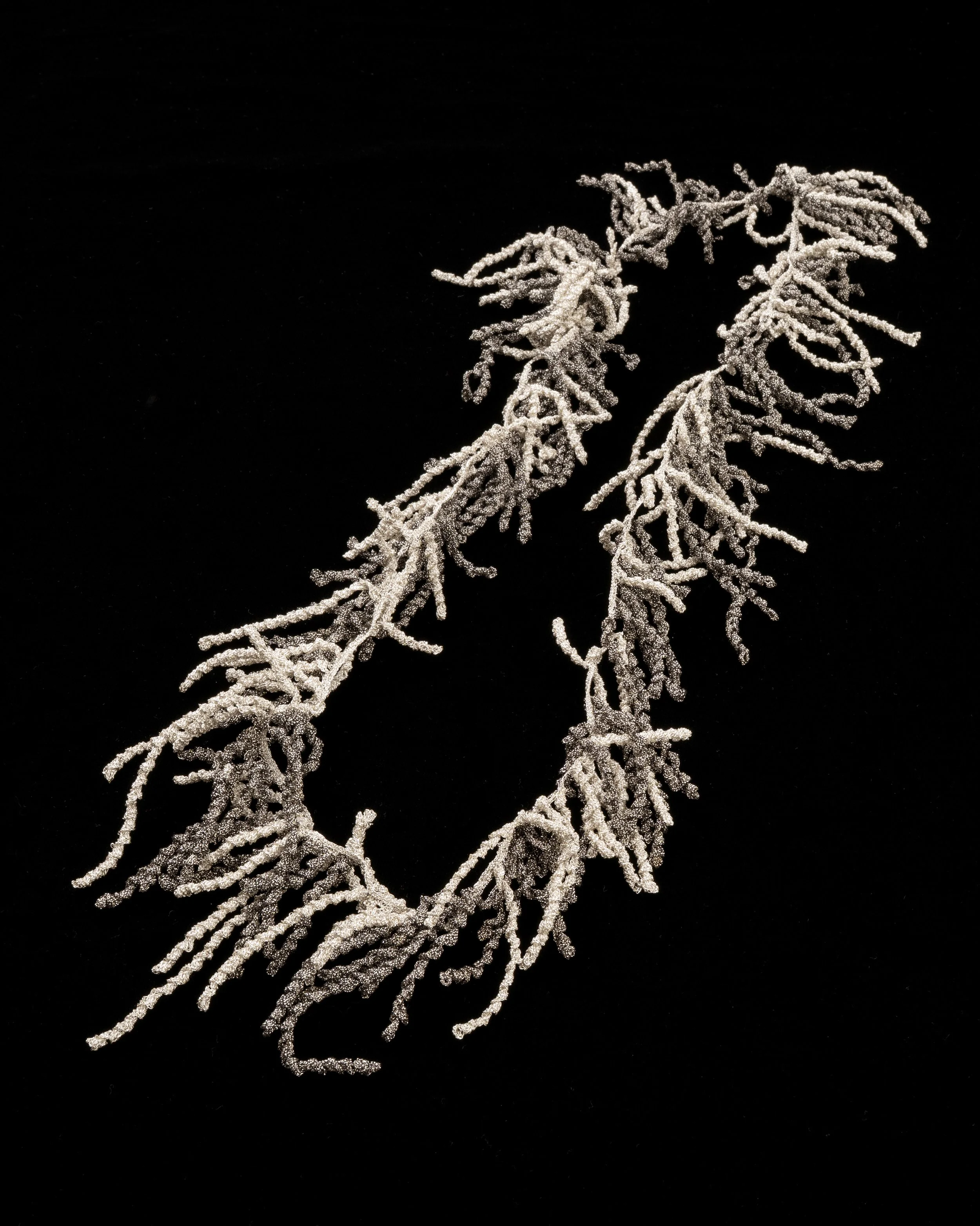SHOP_Catherine Buddle_Silver Hormosira Neckpiece.jpg