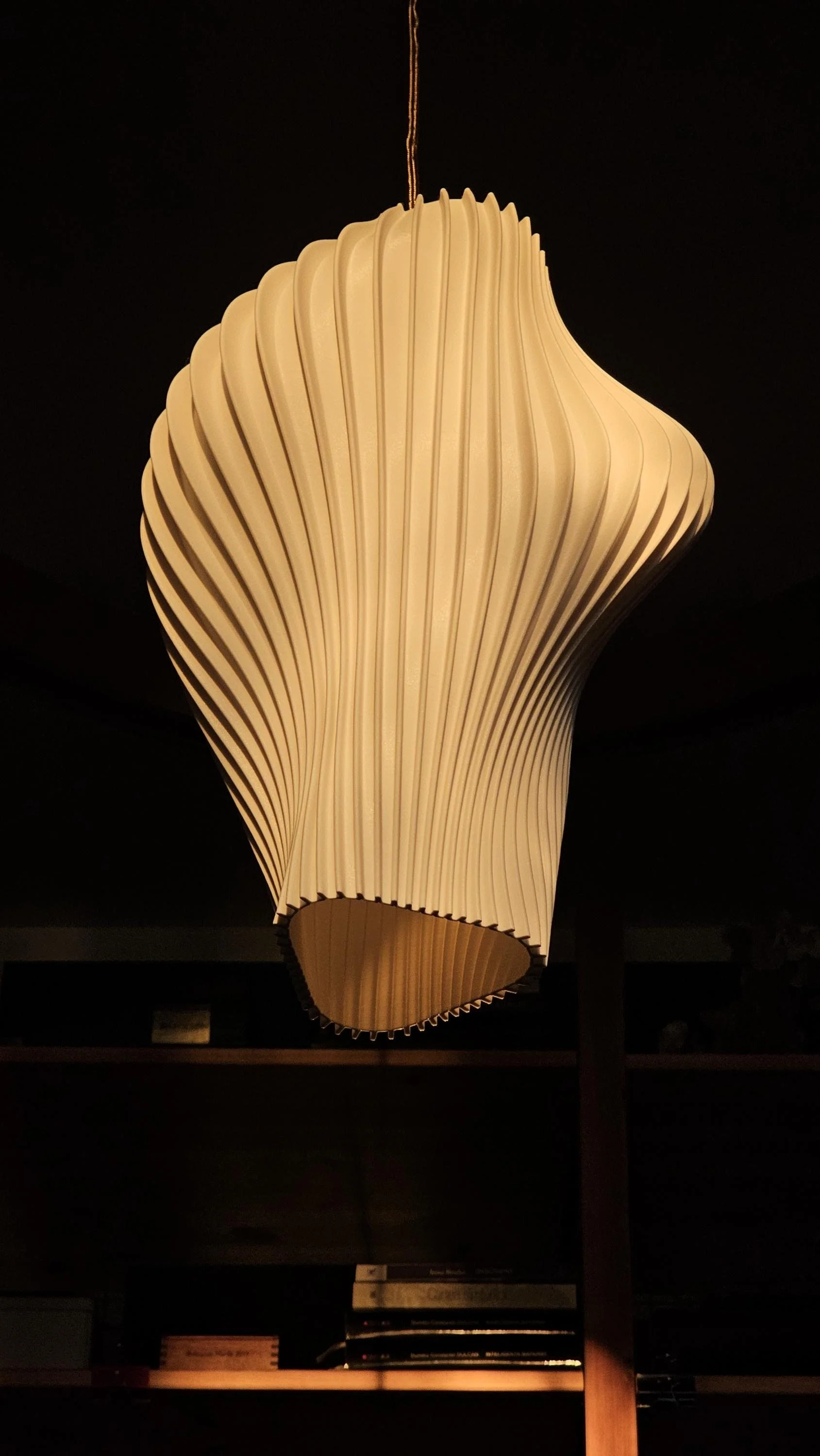 BIOMORPH_CloverLampshade_2023_PolylacticAcid_30x30x40cm_150£.jpg (5).jpg