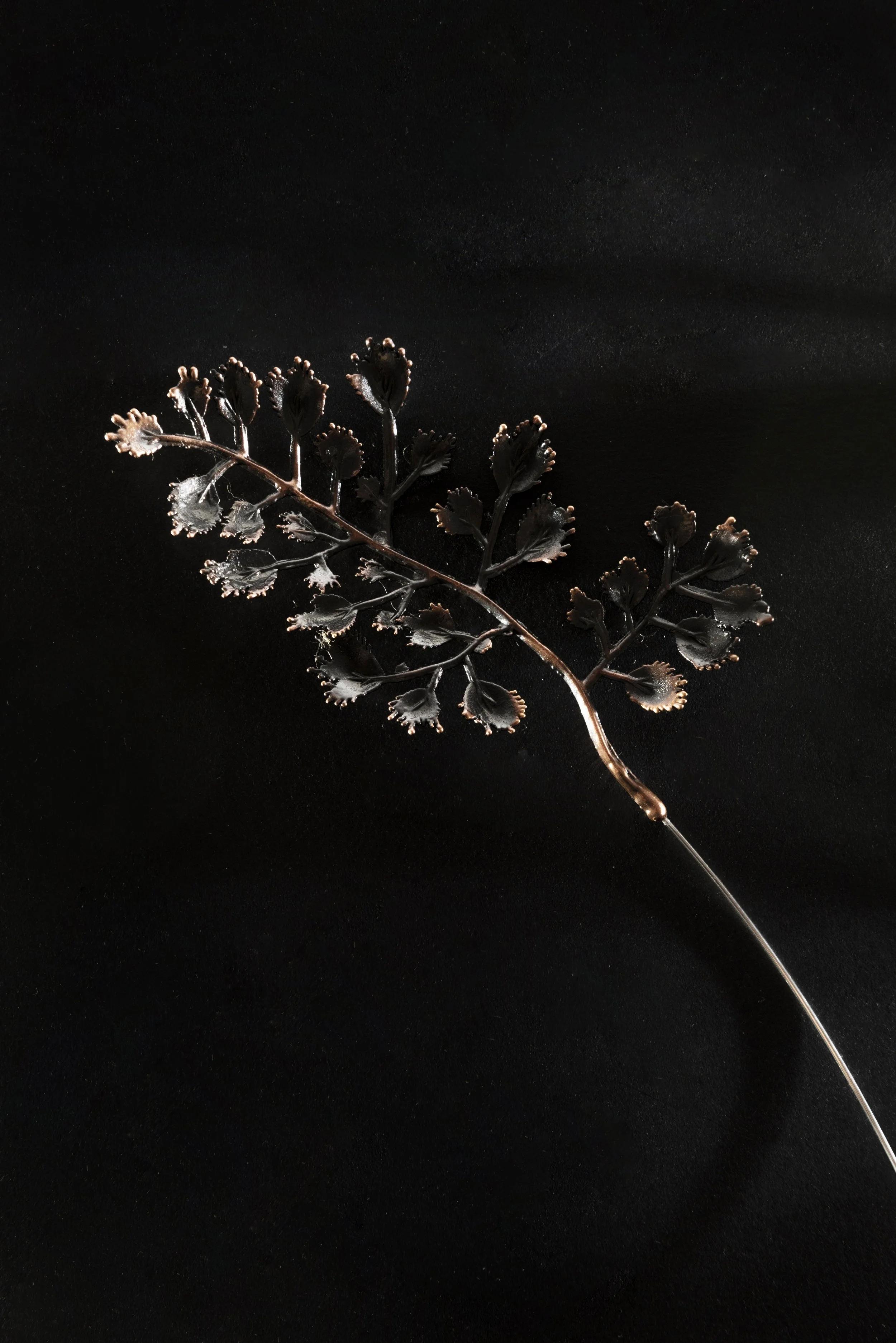 SHOP_ElsOpDeBeeck_Bloom brooch#1_4.JPG