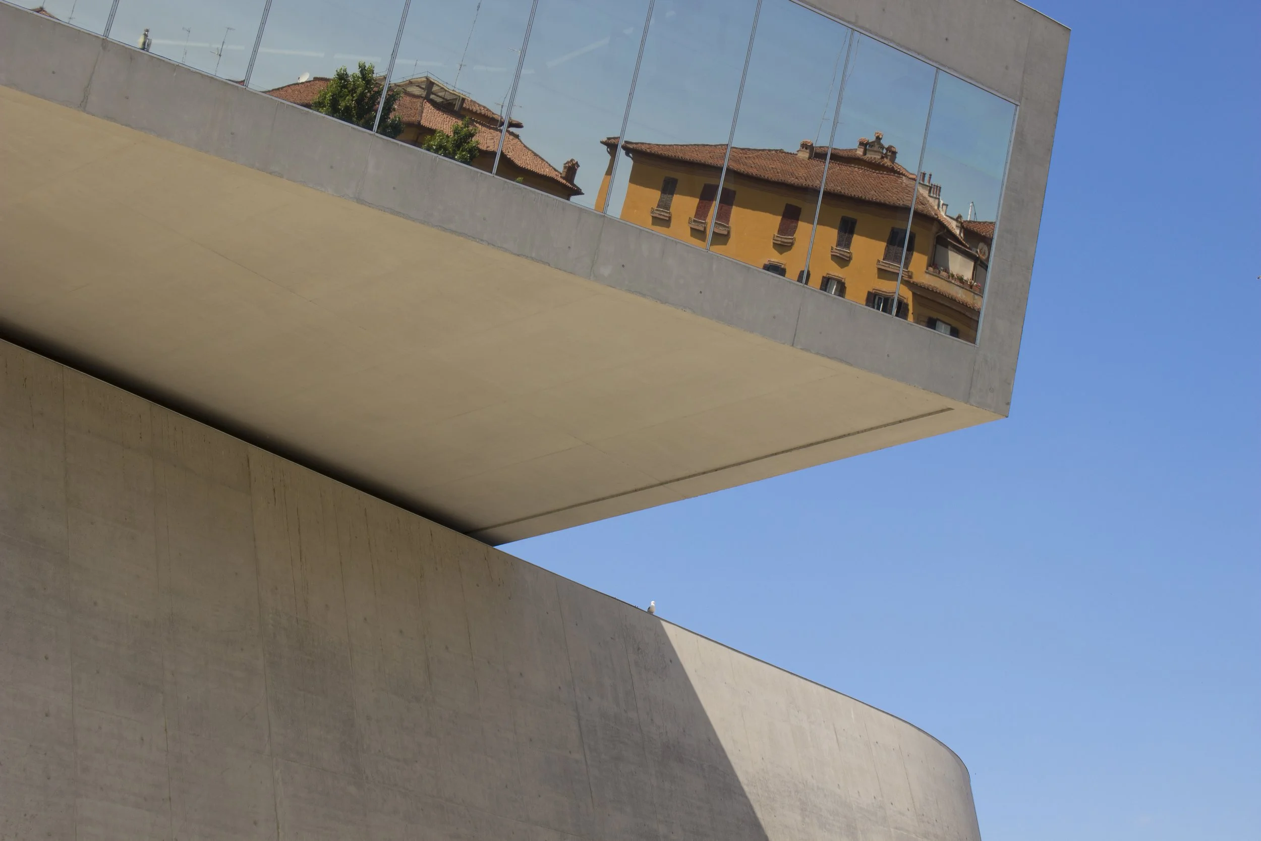 SHOP_RAPHAEL IRUZUN MARTINS_MAXXI VOLUMES_.jpg