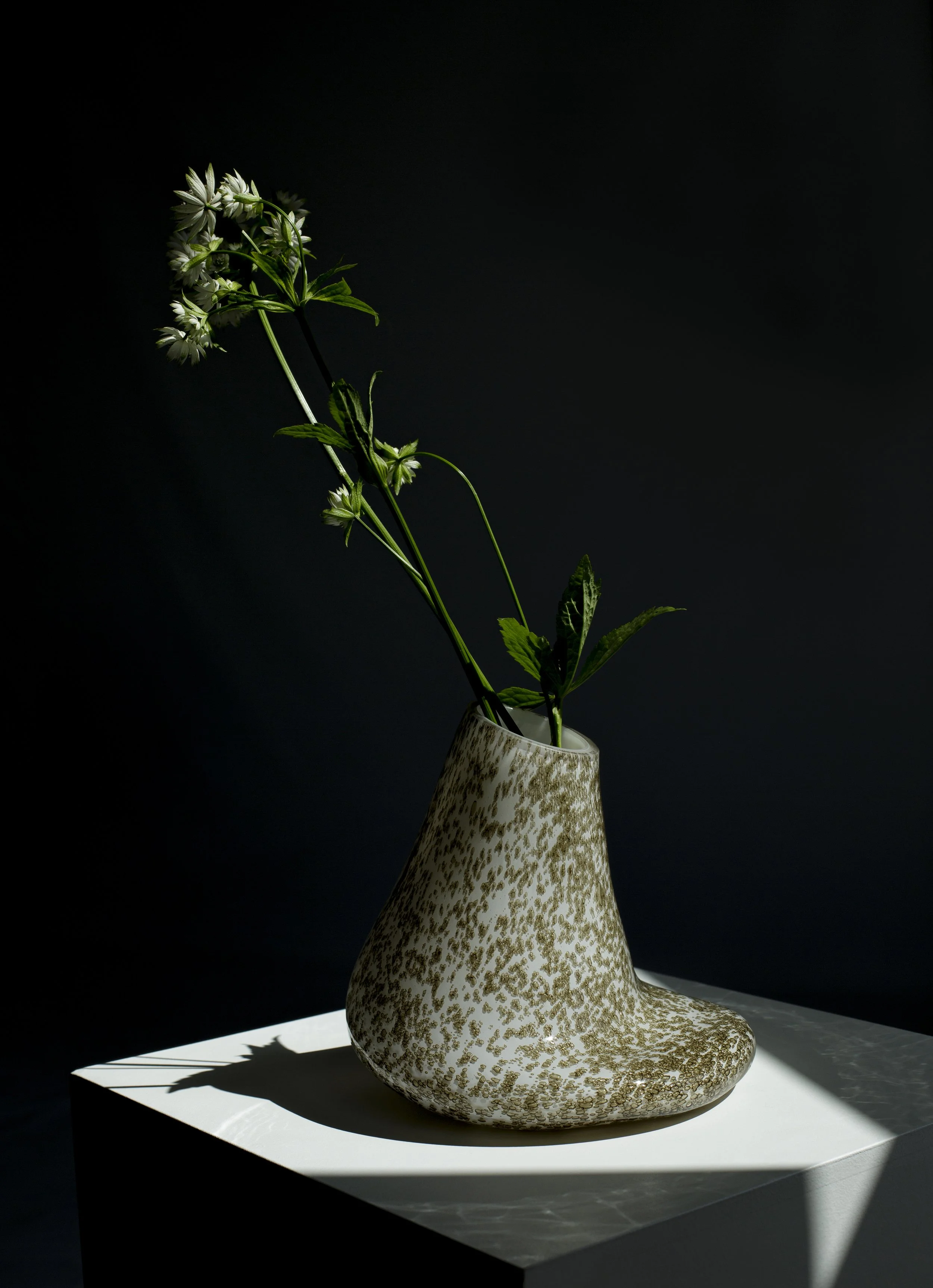 TACTILE OASIS Collection_BAIBAGLASS x IJD.jpg