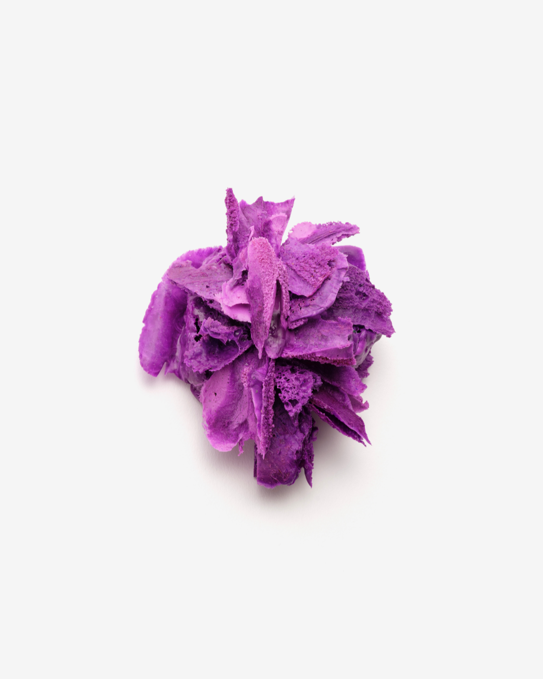 JEWELLERY 2025 (1).png