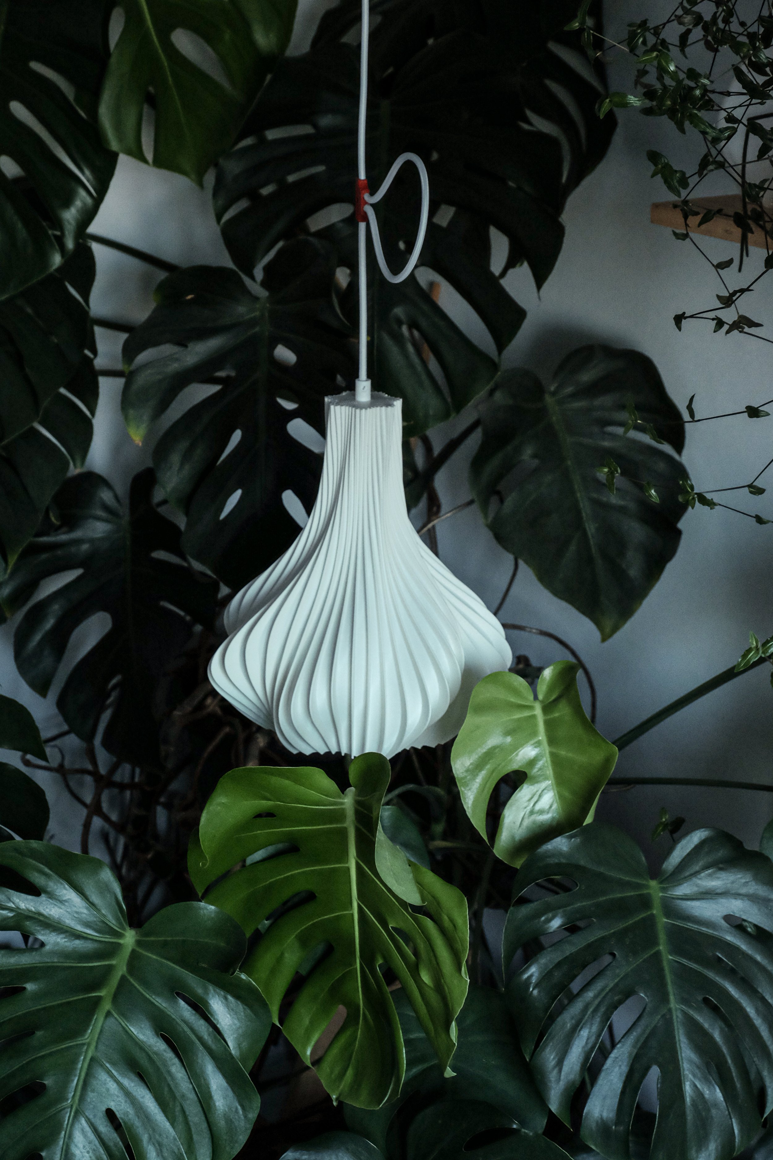 BIOMORPH_Bloom_2024_PolylacticAcid&Aluminium_25x25x30cm_100£ (5).jpg