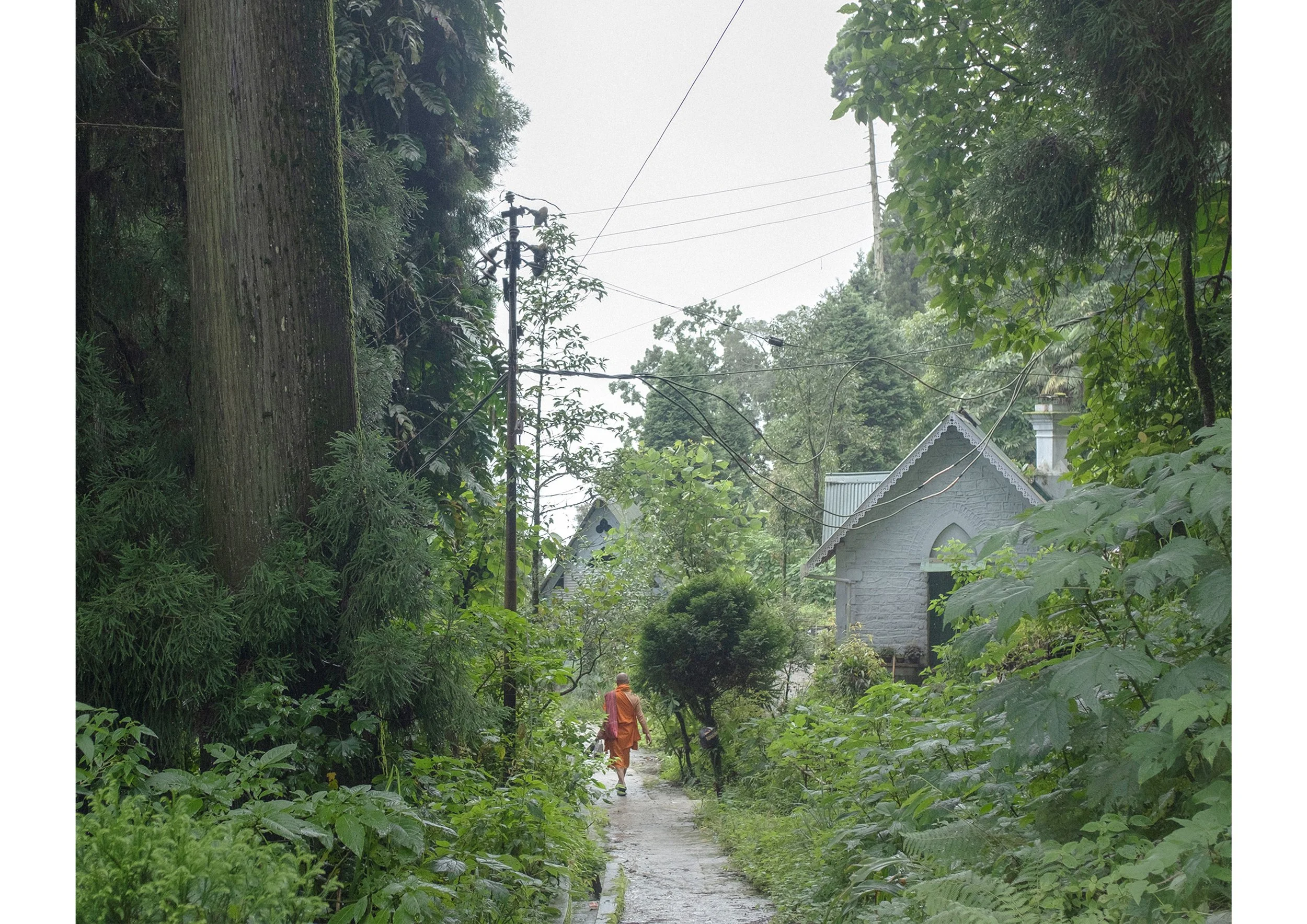 Neel Bhattacharjee_Mystical Path.jpg